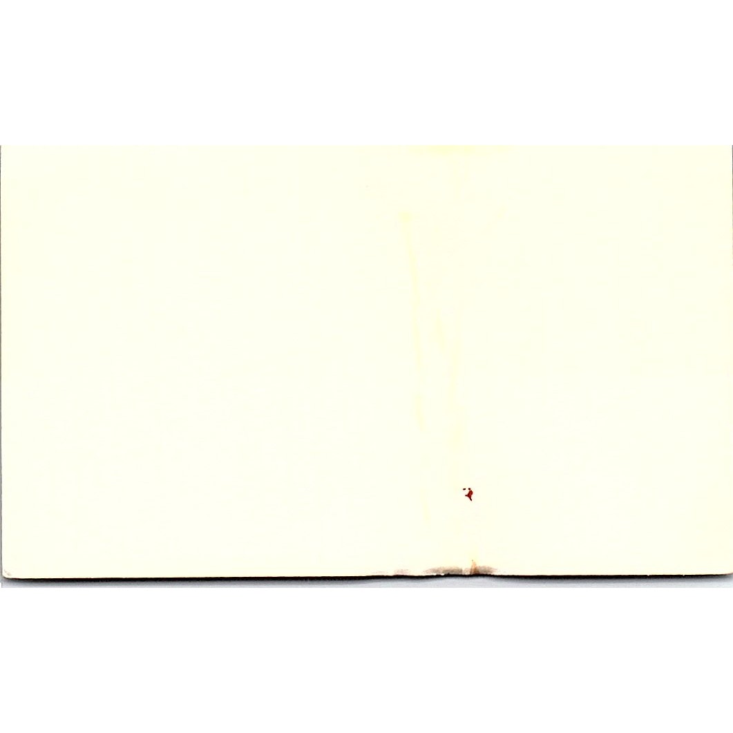 Champion Exterminating Co. Pest Control Uvalde Vintage Business Card SB4-B1