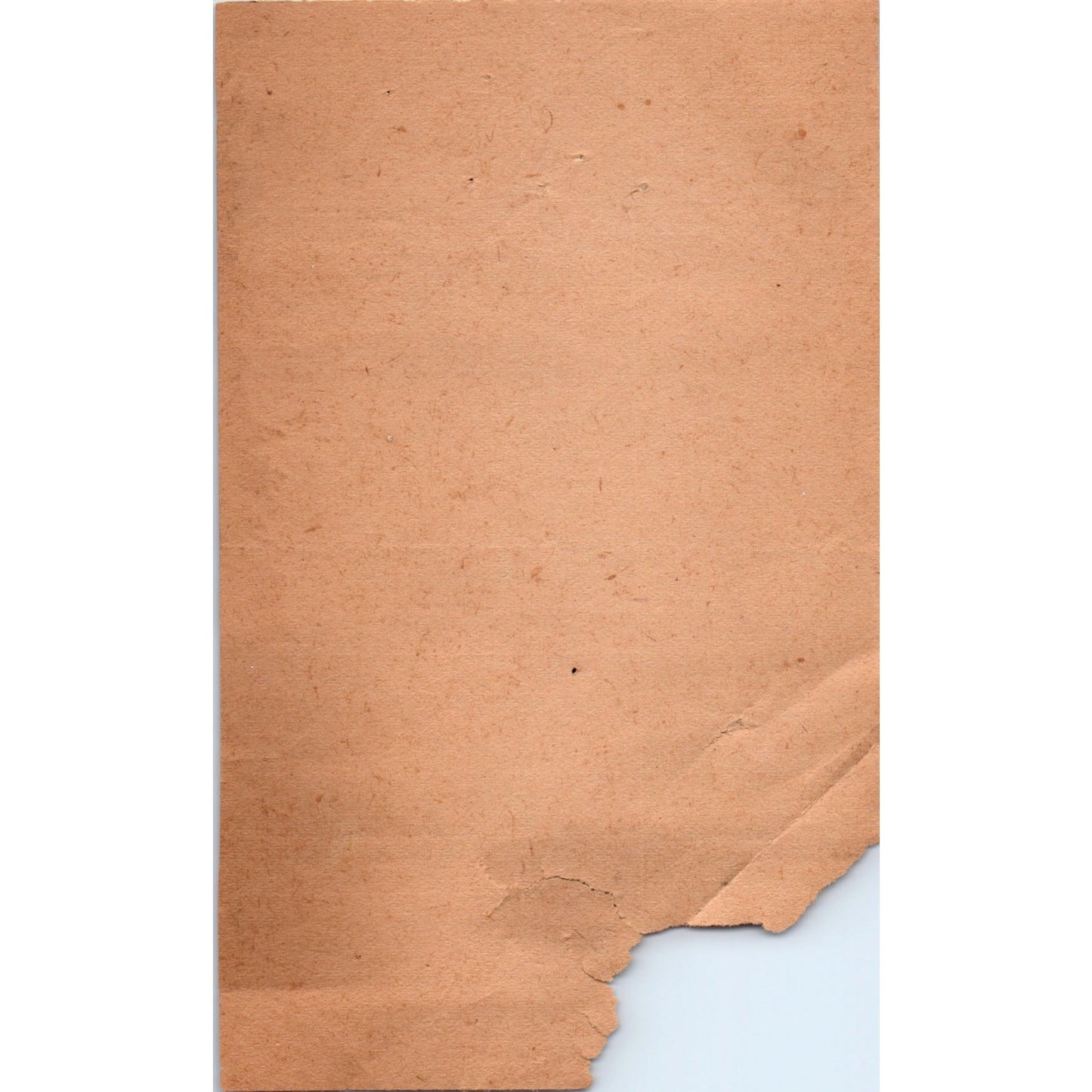 1920s Wynns Company Dry Goods Dickson TN Letterhead Receipt D18