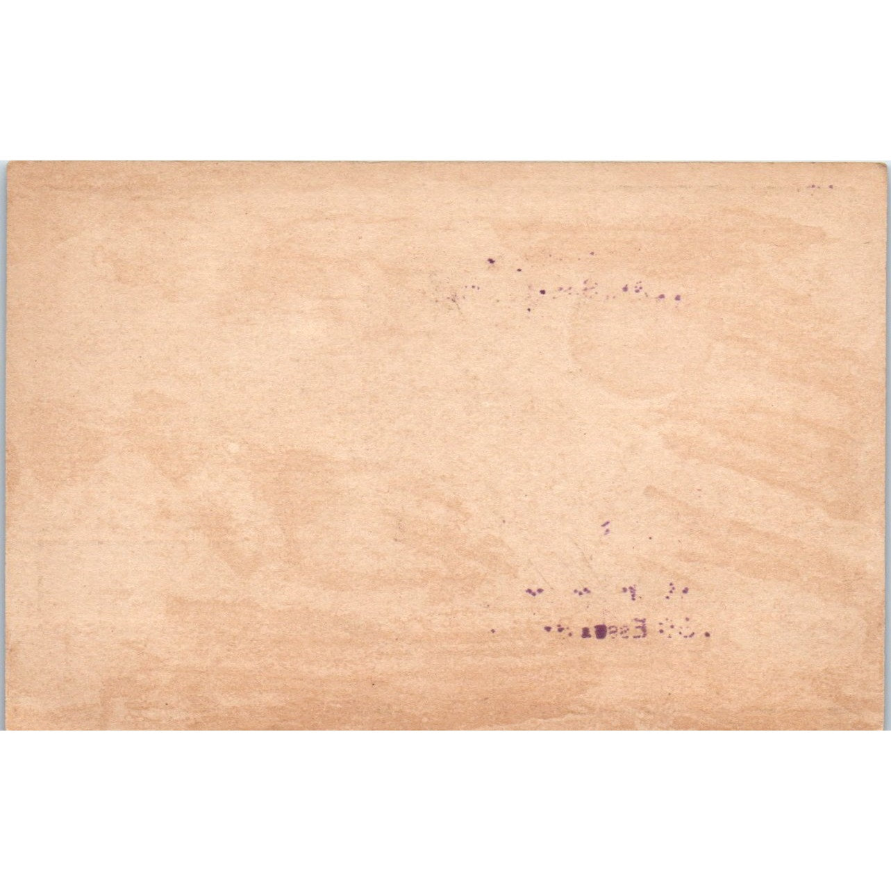 Nador Homemade Candy Salem MA Boys Cat Duck c1880 Victorian Trade Card AB6-1