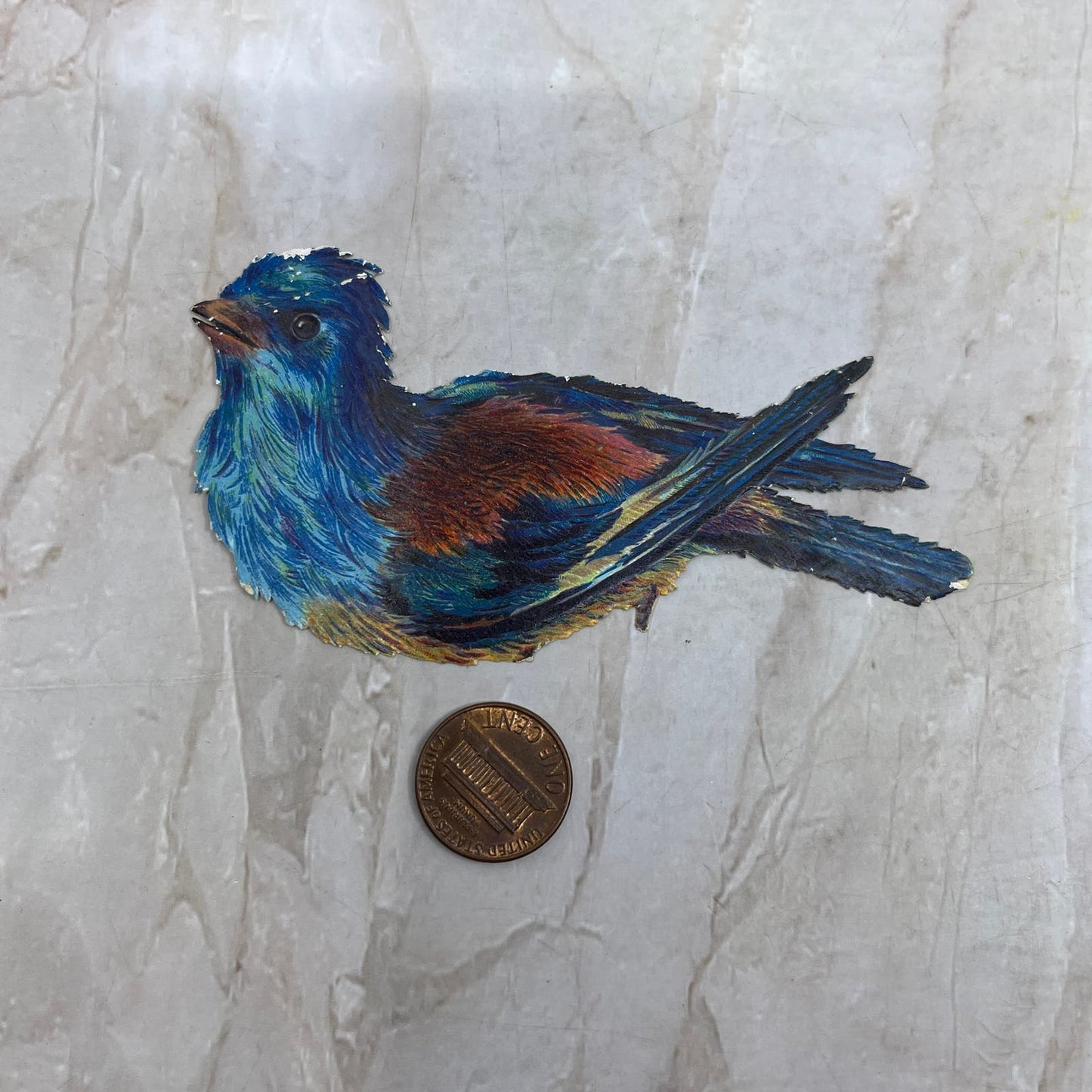 Antique Victorian Scrap Bluebird Die Cut TI8-S6