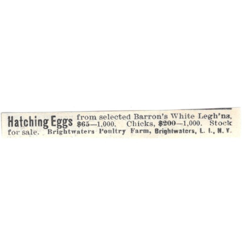 Brightwaters Poultry Farm Hatching Eggs Long Island NY 1924 Ad AG3-S9