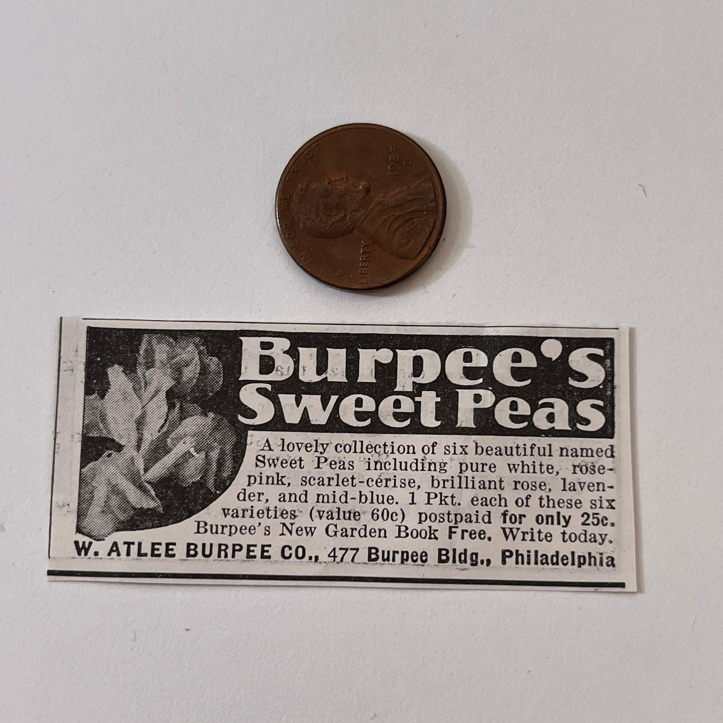 W. Atlee Burpee Co. Burpee's Sweet Peas Philadelphia PA 1936 Ad SAG4-M4