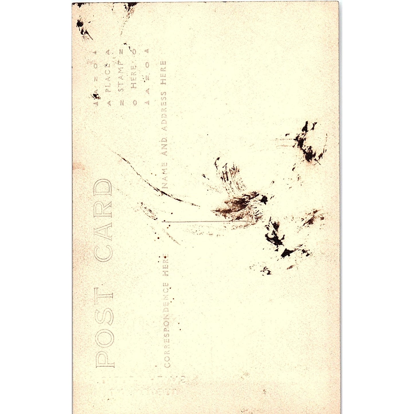 Portrait of 4 Ladies - Smith Studio Auburn IN Antique Real Photo Postcard PE14