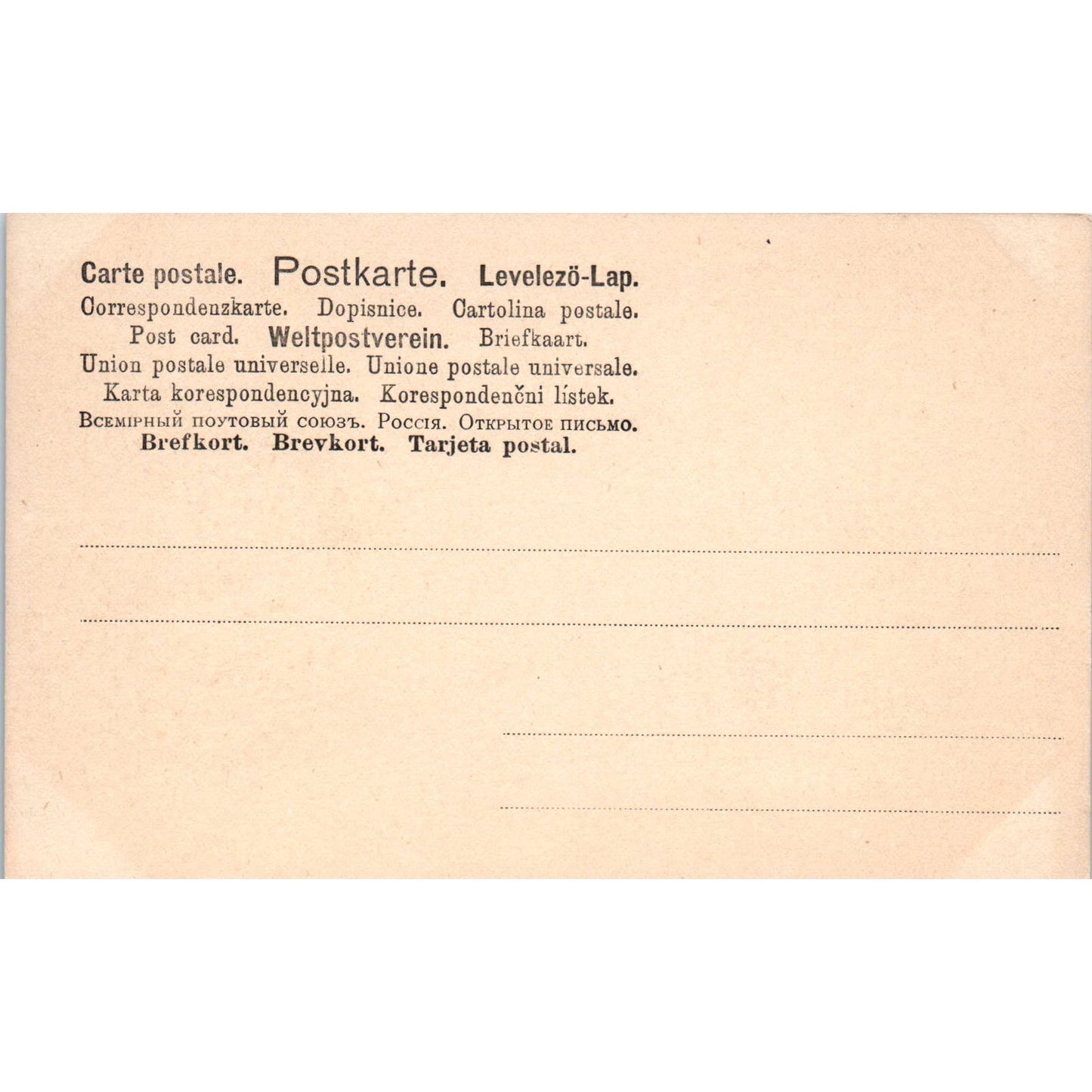 Victorian Girl Sleeping on Saint Bernard Dog c1900 Postcard PD2