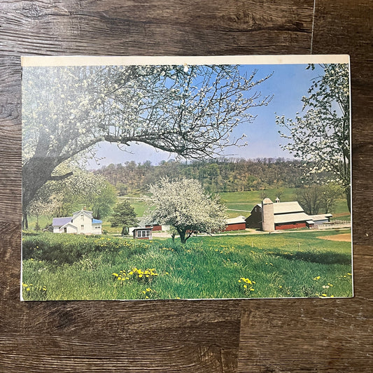 Retro Spring Farmhouse Barn Scene Apple Blossoms Vintage Print 10x14 V10