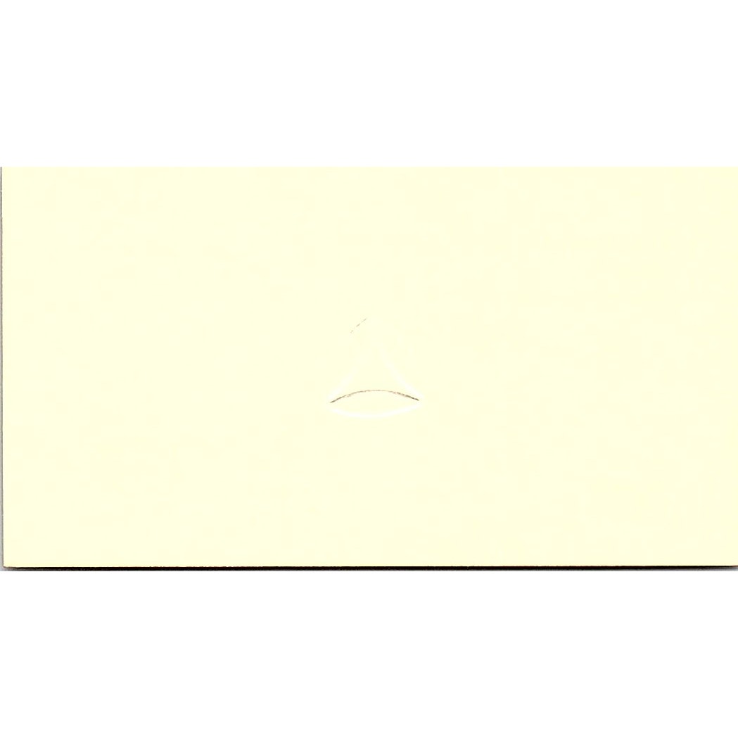 Paul A D'Alesio Touche Ross & Co Houston TX Vintage Business Card SD9-B1