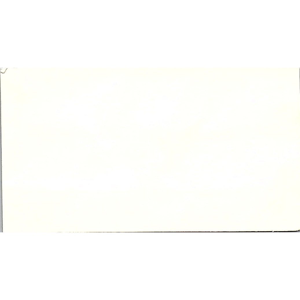 Mel's Garden Service Light Hauling & Landscaping Houston Business Card SSB4-B13