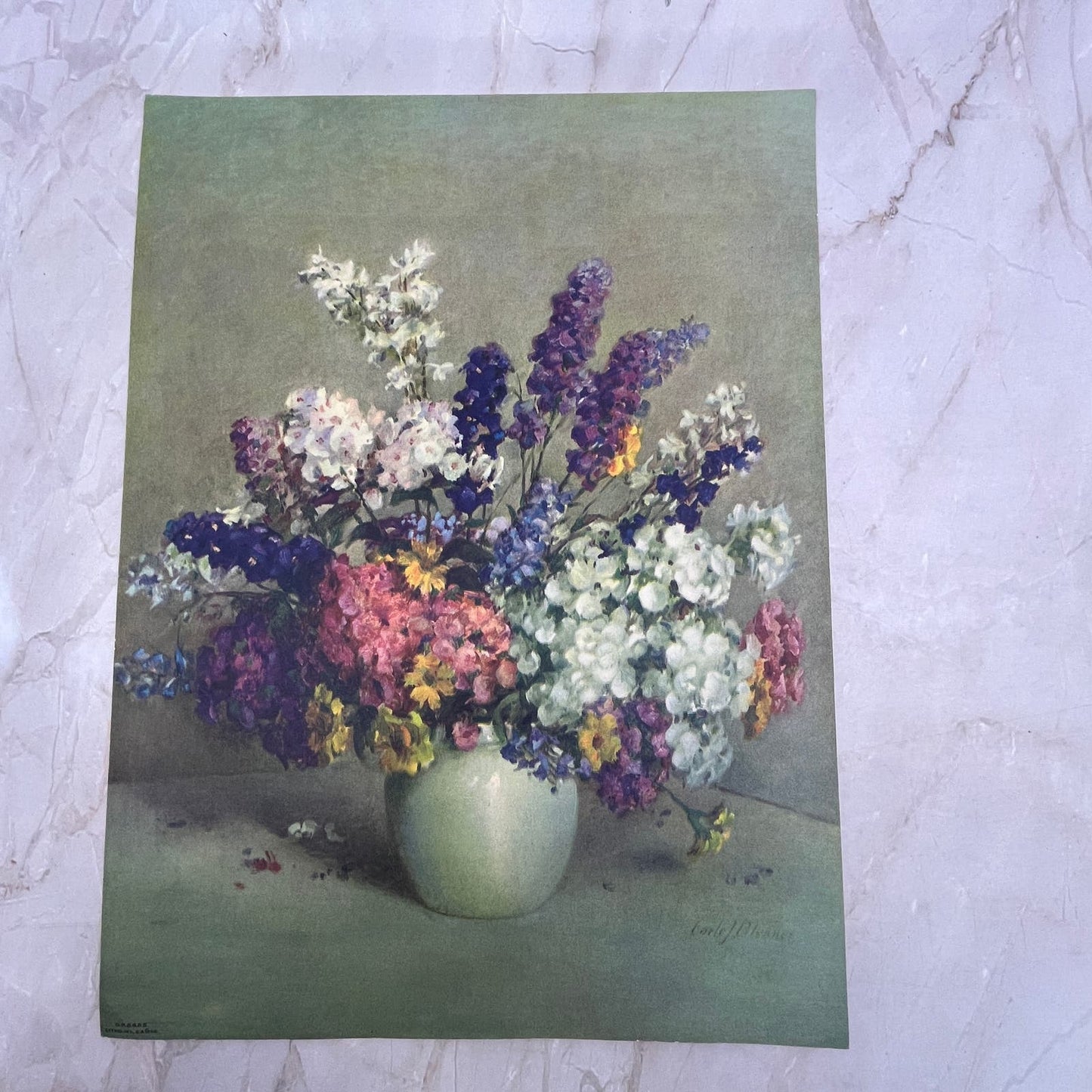 Phlox and Larkspur by Carle J Blenner Vintage Art Print Lithograph 9x12 FL6-3