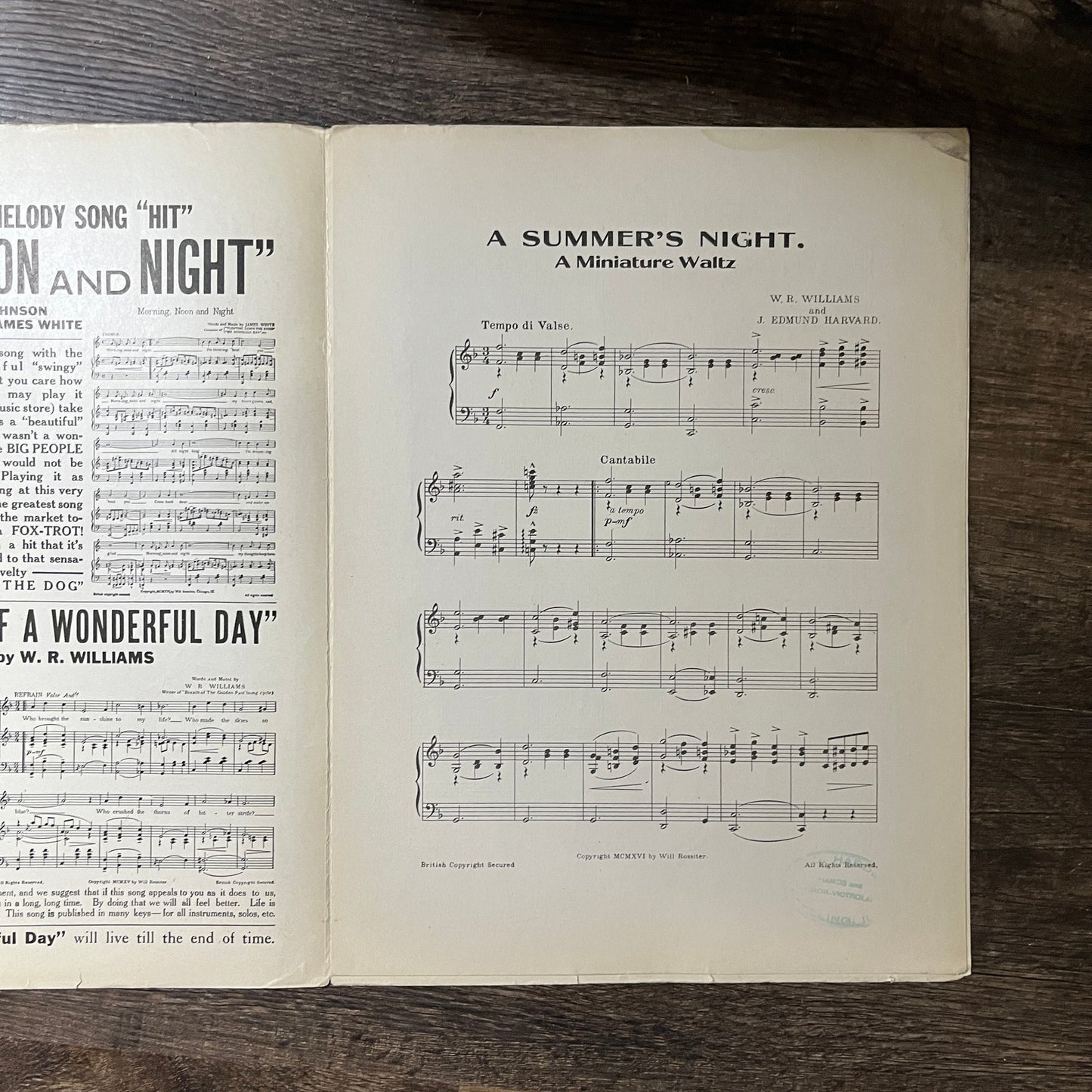 A Summer's Night Miniature Waltz W.R. Williams Dena Caryll 1916 Sheet Music V13