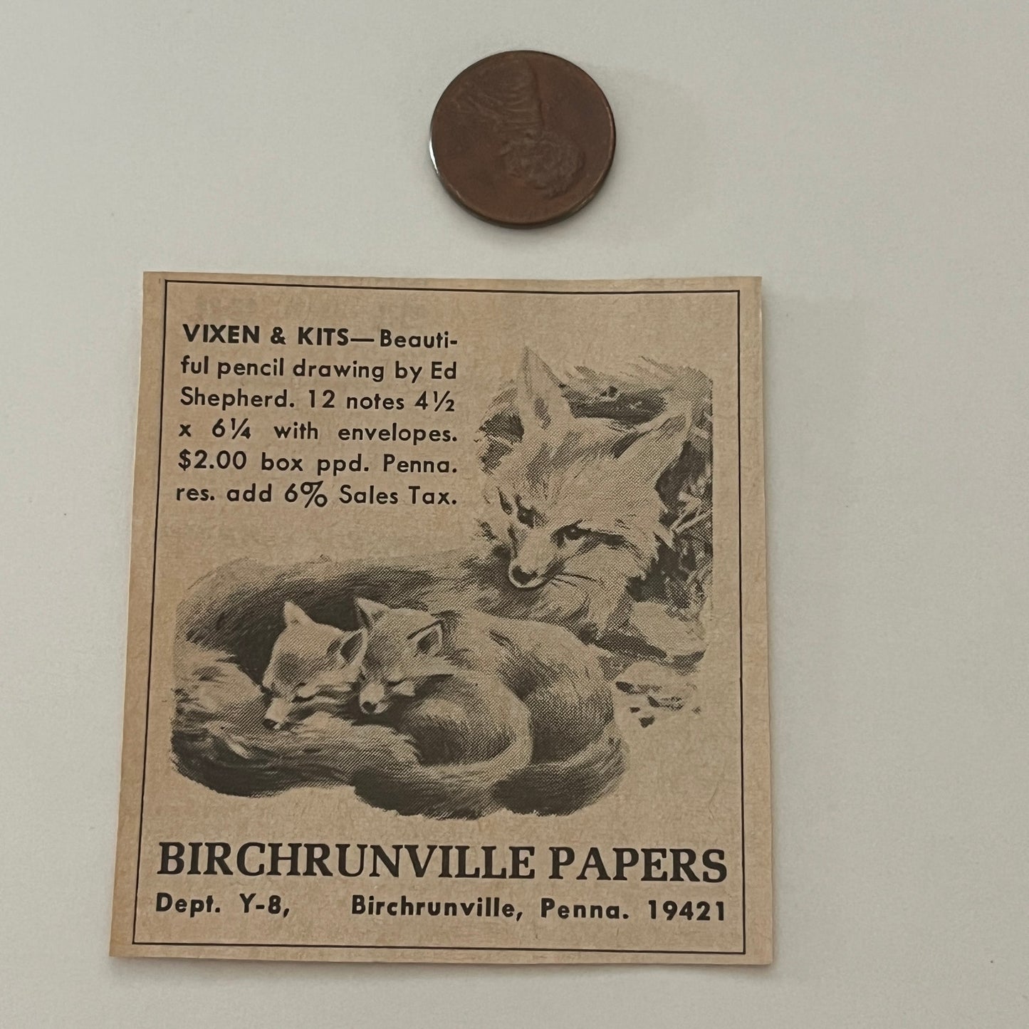 Birchrunville Papers Fox Vixen & Kits Birchrunville PA 1971 Magazine Ad SAG4-S15