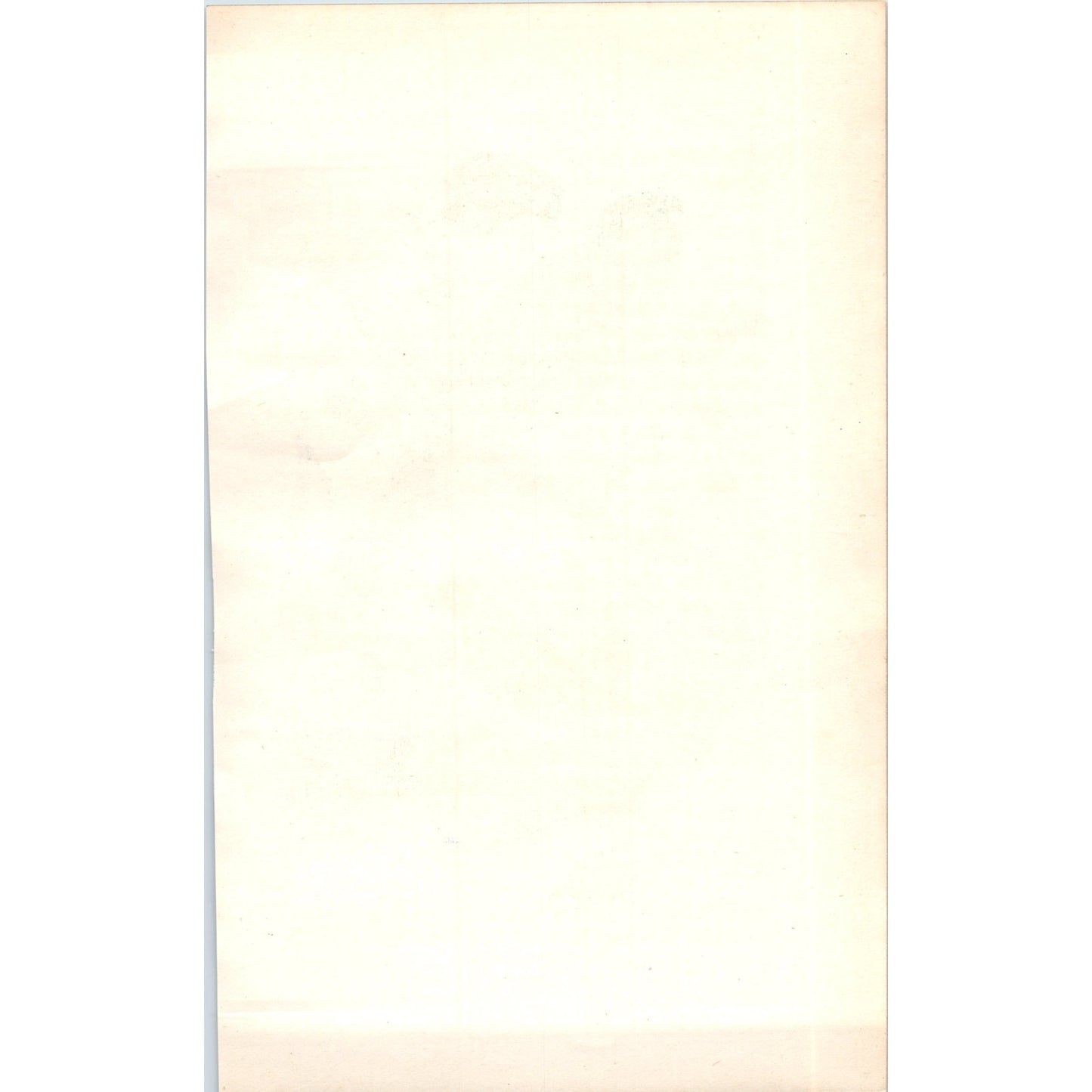 Biskin (Pair) Bird 1903 Original Color Engraving Plate Print AD8-B3