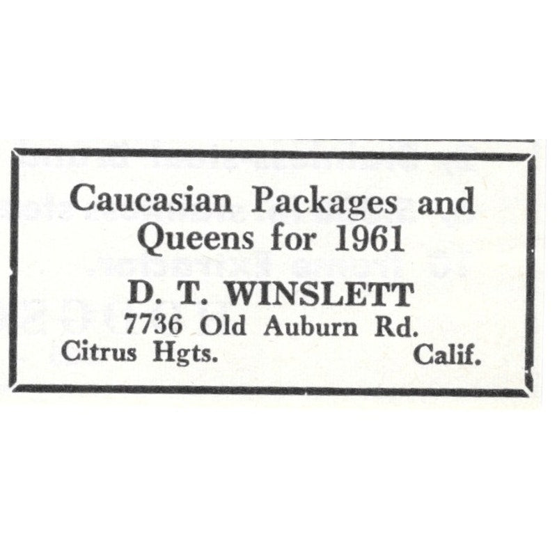 Caucasian Bees and Queens D.T. Winslett Citrus Heights CA 1961 Ad AK6-S13