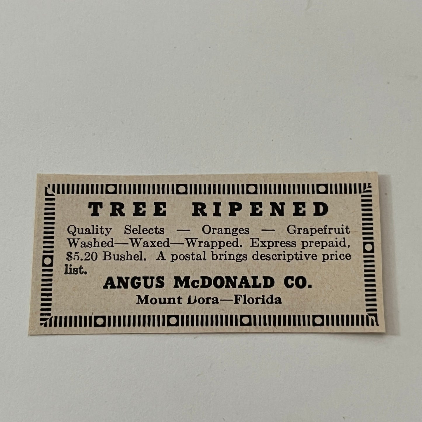 Angus McDonald Tree Ripened Mount Dora FL 1952 Yankee Magazine Ad SAG5-S3