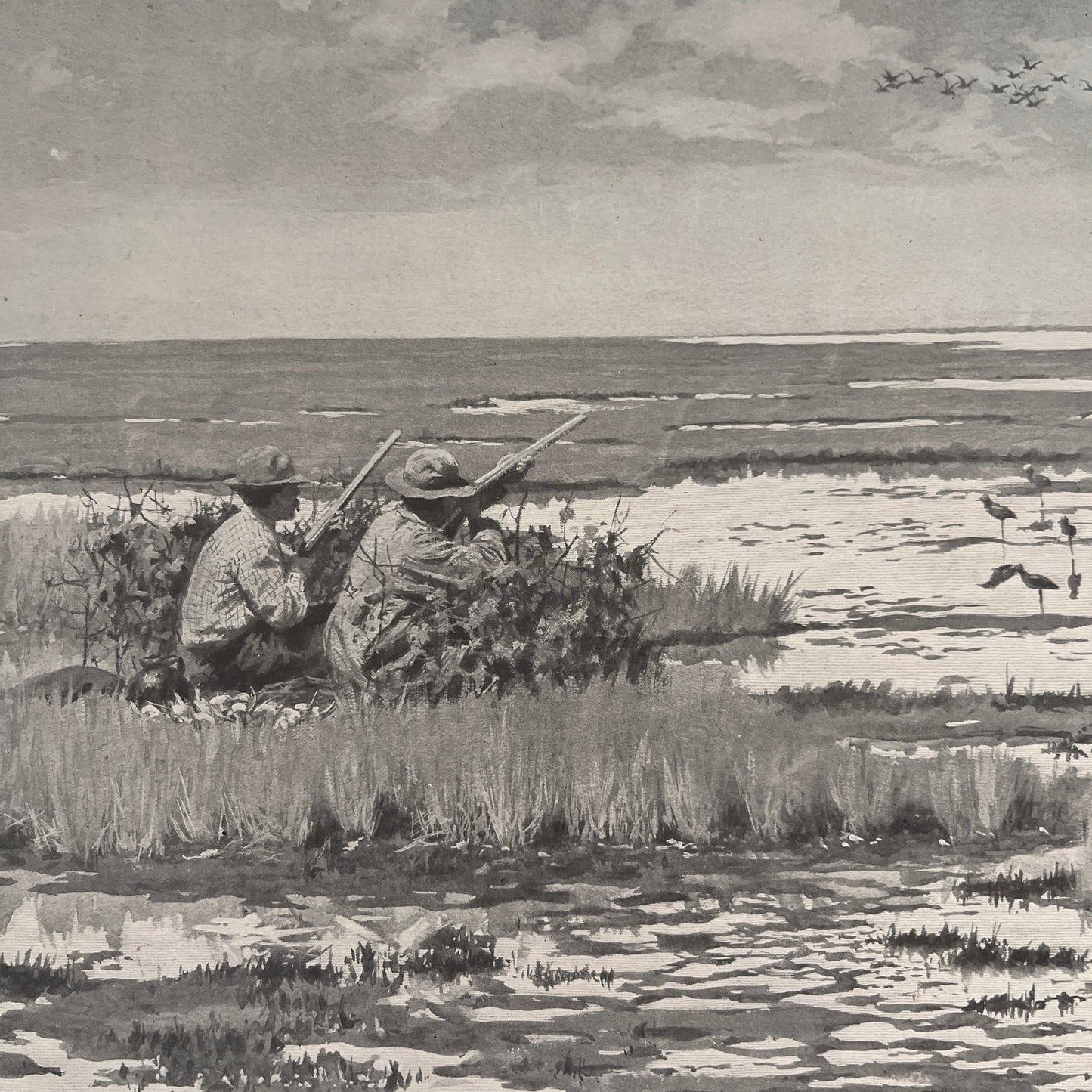 Snipe Shooting - Hunting Scene - Original 1904 A.B. Frost Art Print V26-4