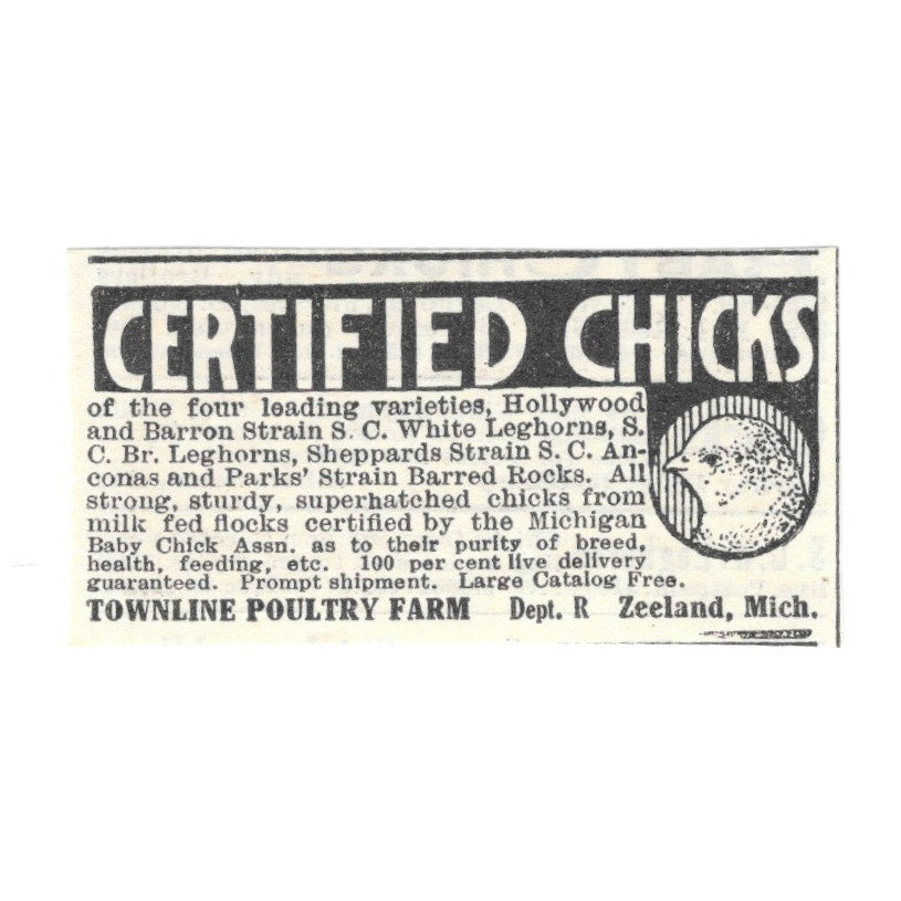Townline Poultry Farm Certified Chicks Zeeland Michigan 1924 Ad AG3-S3