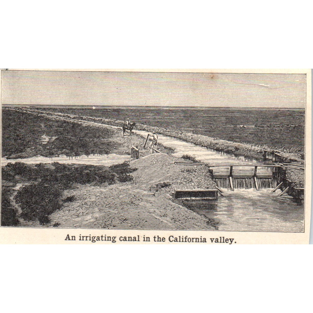 Irrigating Canal in California Valley 1901 Engraving AF2-O3