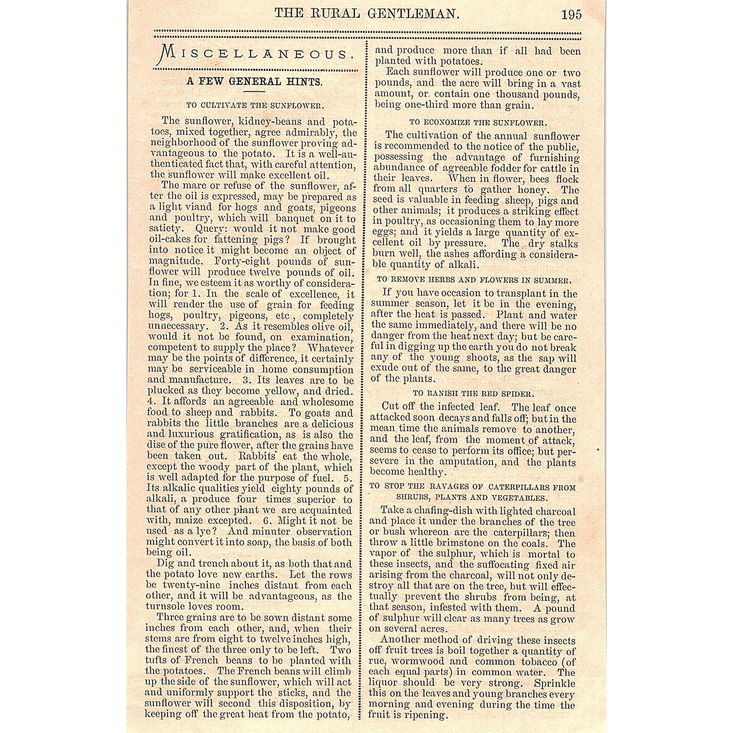 Language of Flowers by J.T. Duquett 1867 Article AG9-5