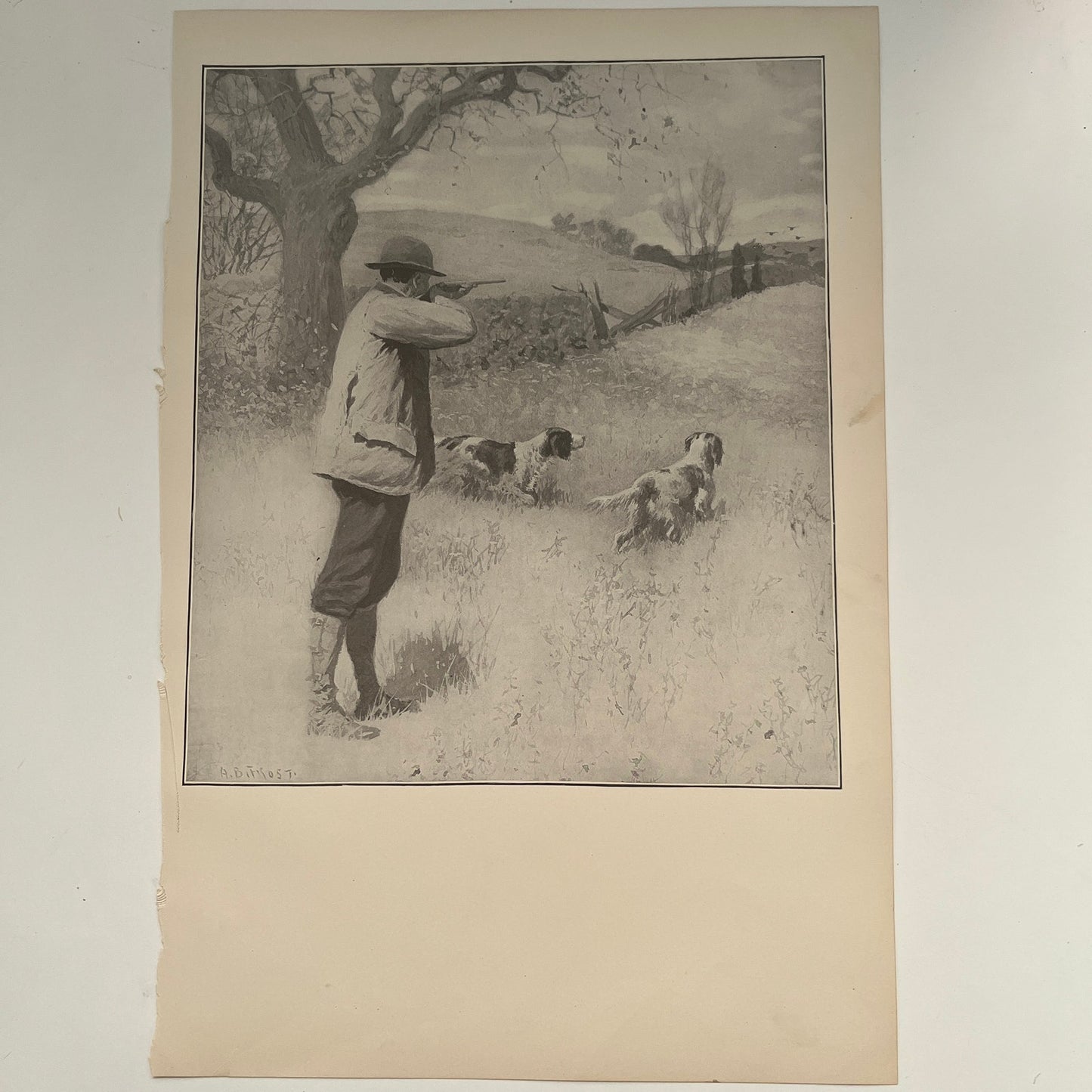 On The Wing - Hunting Scene - Original 1904 A.B. Frost Art Print V26-4