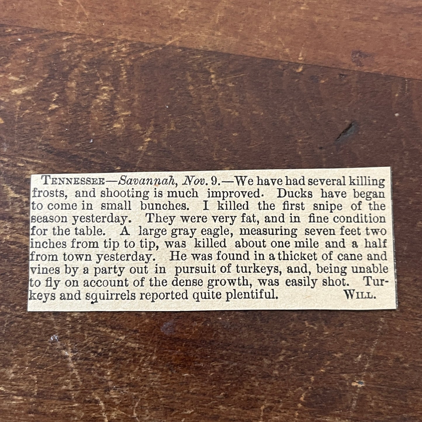 Nov 1878 Fowl Hunting Report From Savannah Tennessee 1878 Article AG2-S16