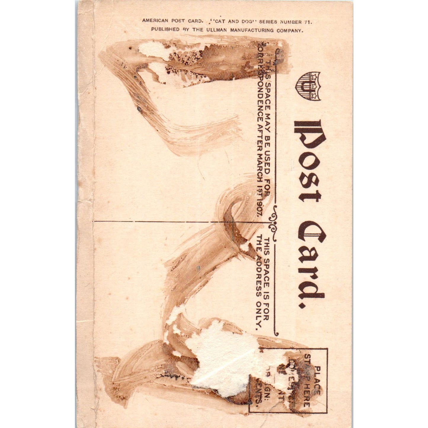 Smoking Dog Dressed as Uncle Sam On Easy Street Illustrated 1907 Postcard PD2