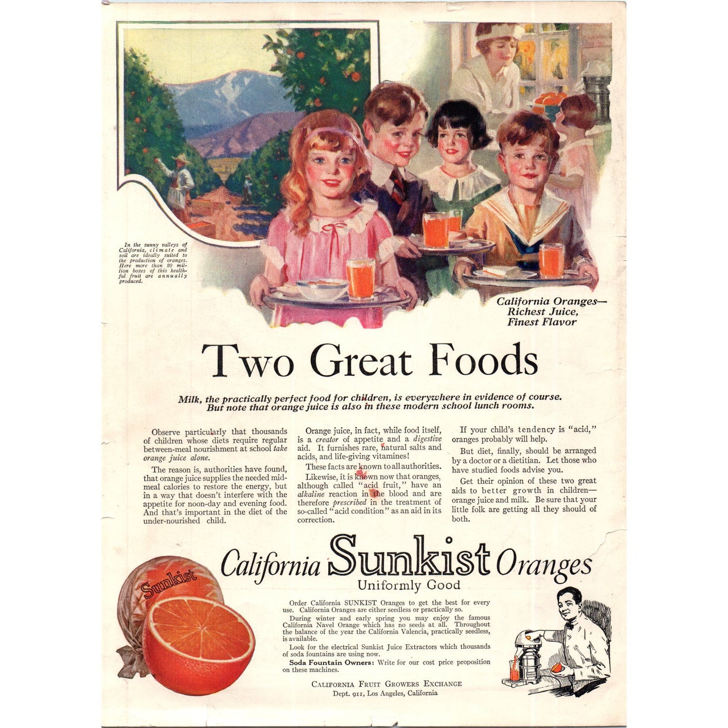 Freed-Eisemann Neutrodyne Radio Vintage Magazine Ad D10