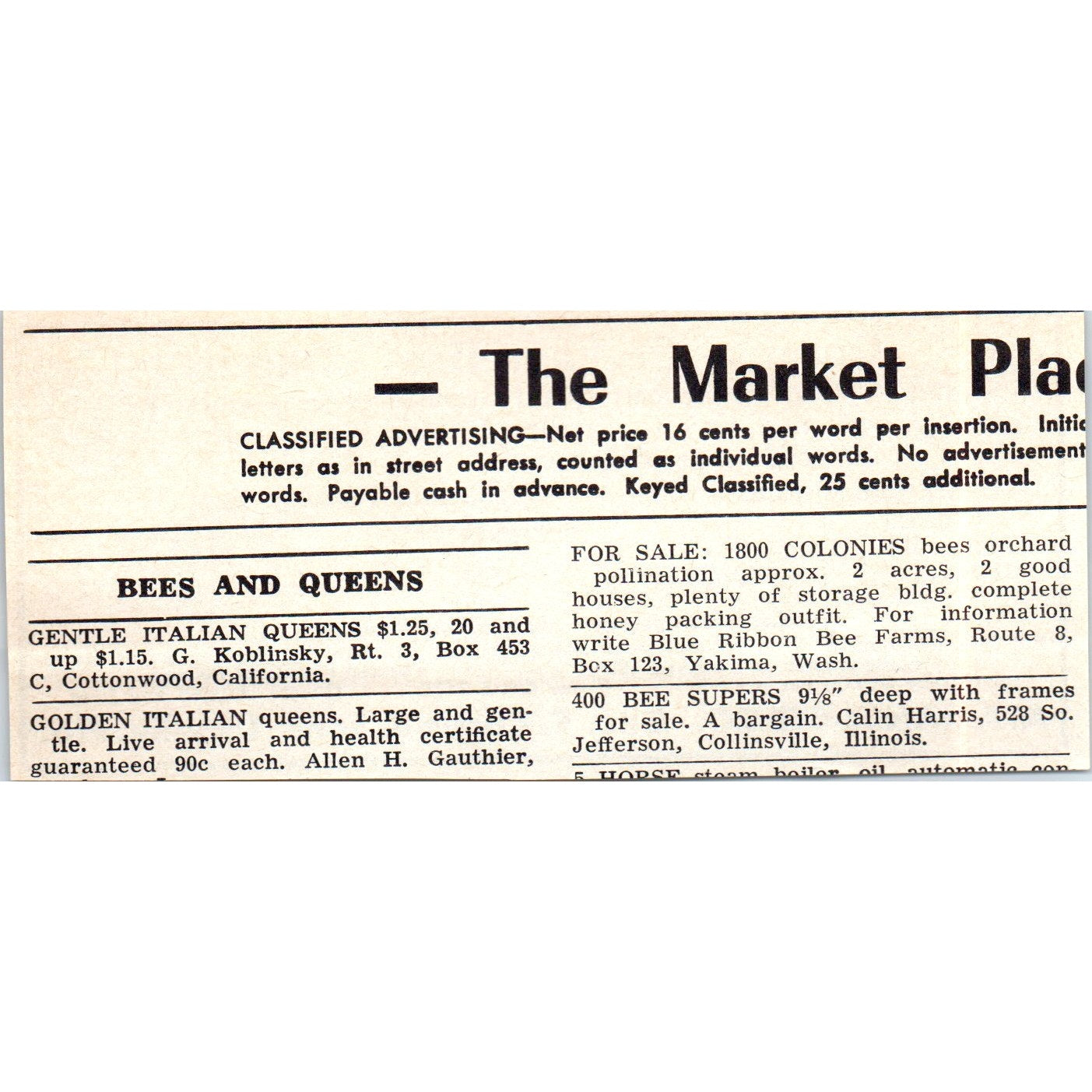 Queens Alamance Bee Co Geo. E. Curtis & Sons LaBelle FL 1964 Magazine Ad AB6-LB