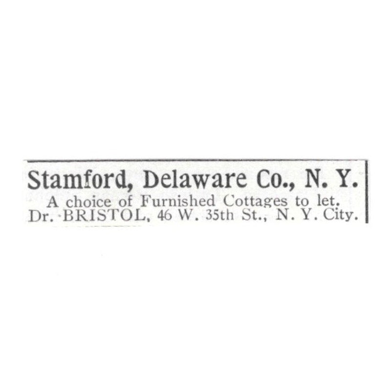 Furnished Cottages Stamford Delaware Co NY Dr Bristol 1903 Ad AF8-S41