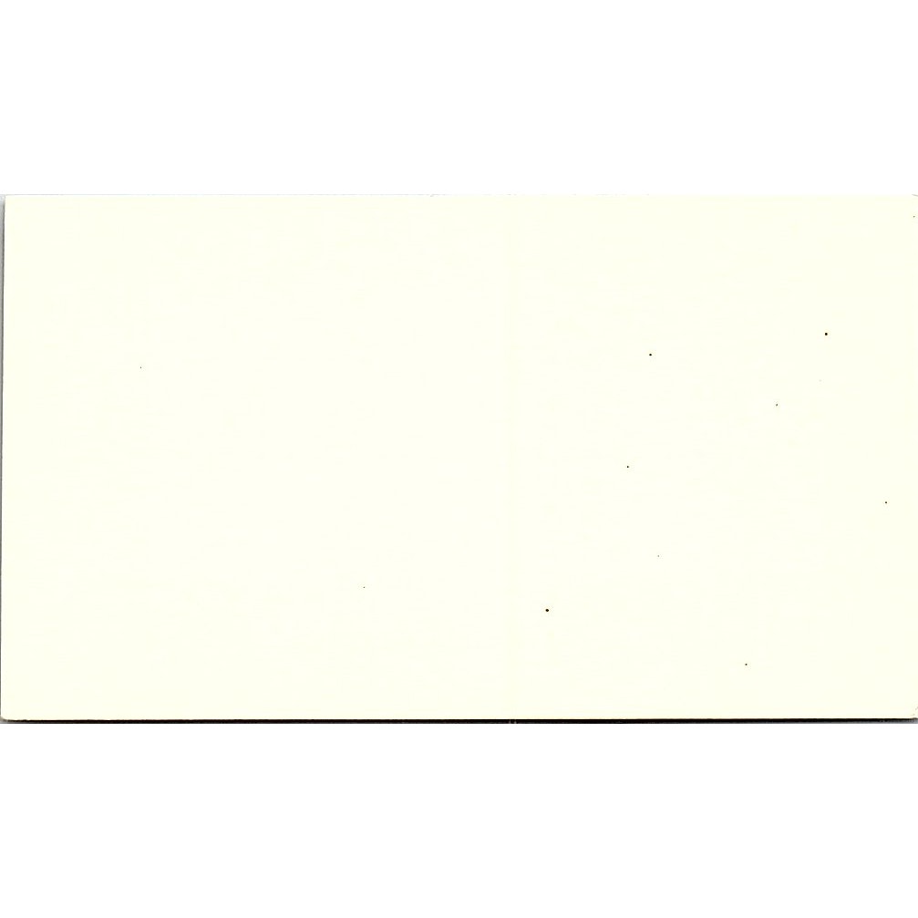 Castle for Brides Bridal Gowns Westminster CA Vintage Business Card SB4-B2