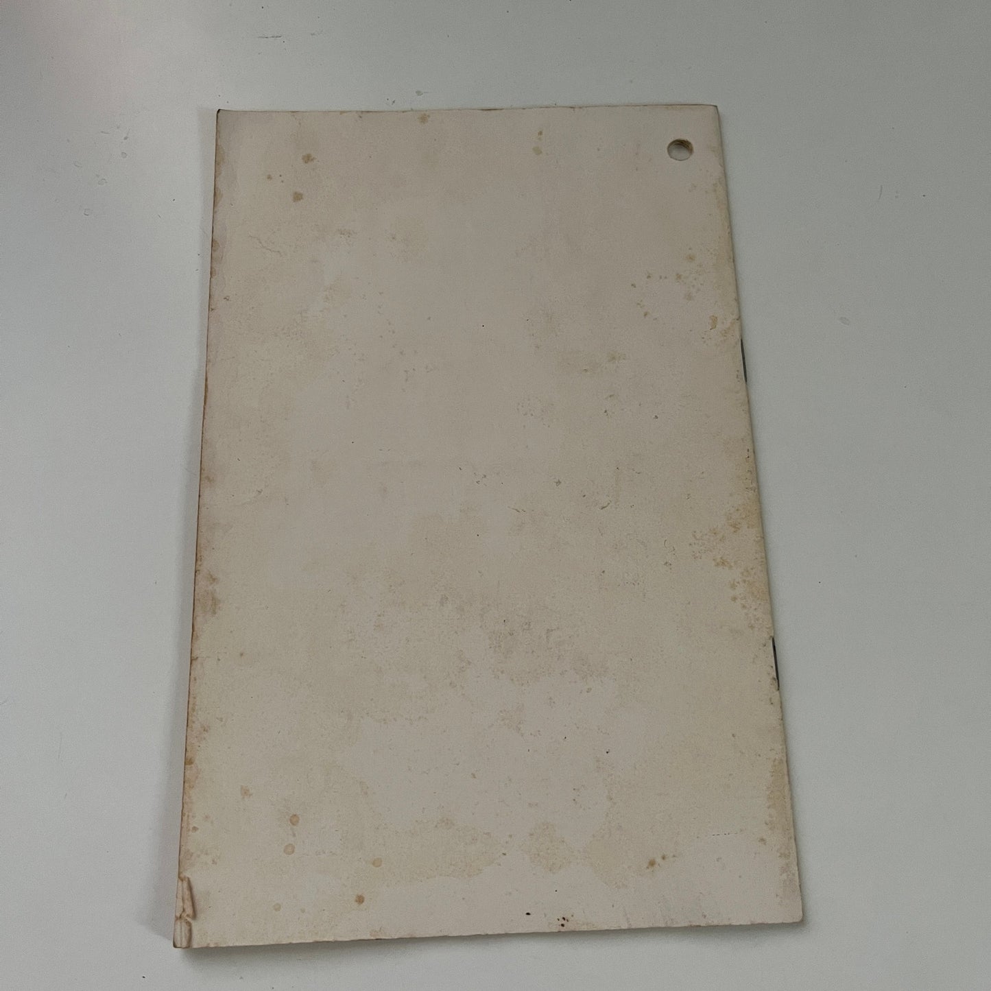 A.R. Wood Mfg Co Radiant Gas Brooders Luverne MN Santa Cruz CA Vtg Booklet AJ2-3