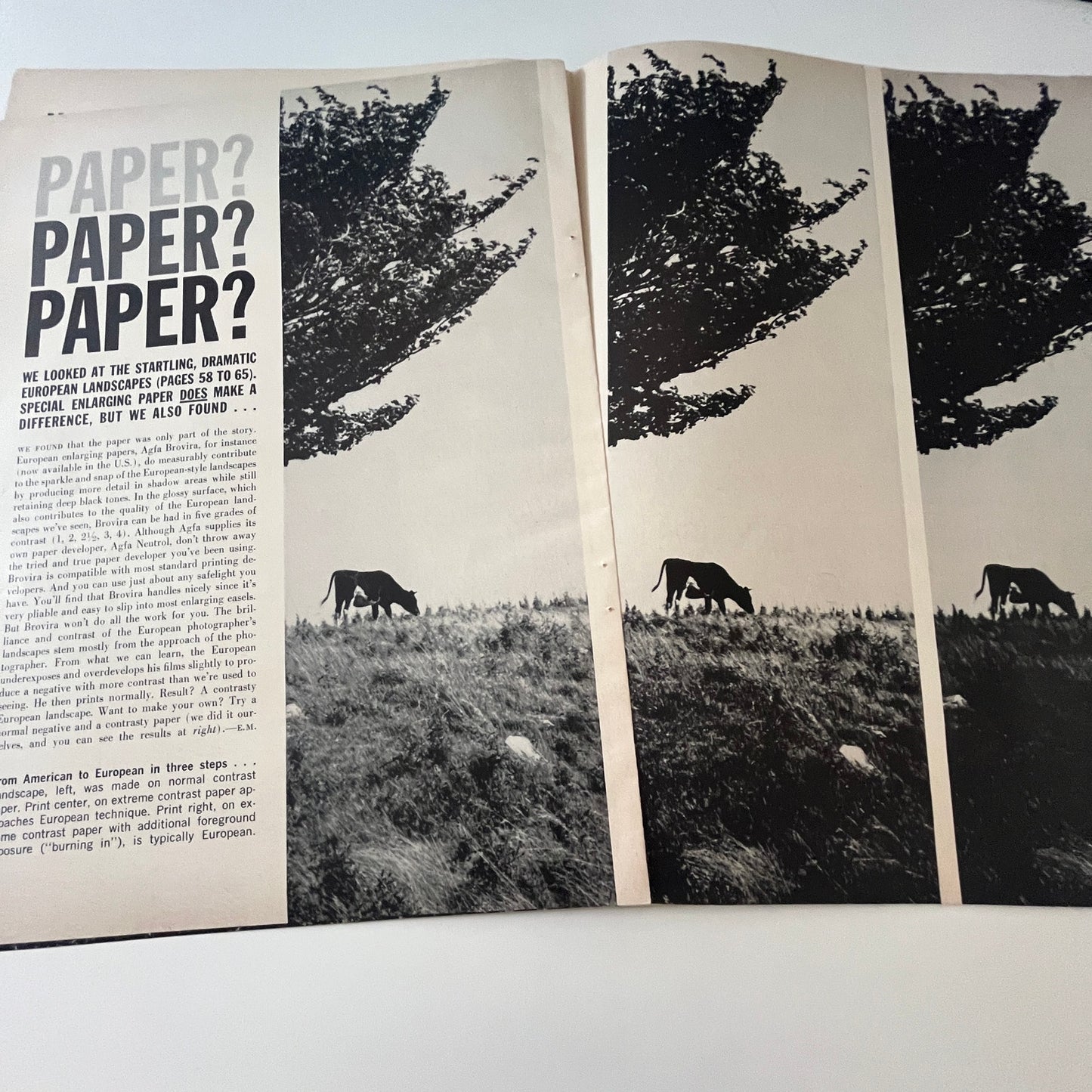 What Makes European Landscapes Different 6 Pages 1960 Magazine Article AG6-5