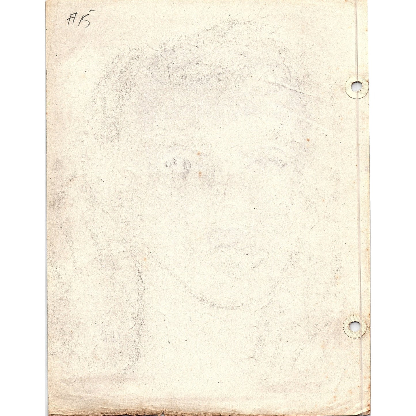 1940s Original Sketch Portrait of a Young Lady Winifred Schutsky D26-15