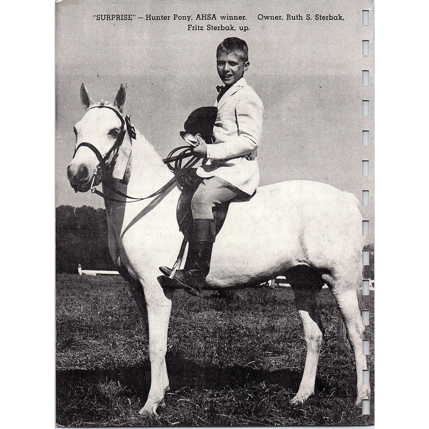 Harry Millard Williams Signed COVER ONLY 1954 Borealis Show Horse Calendar AG6-7