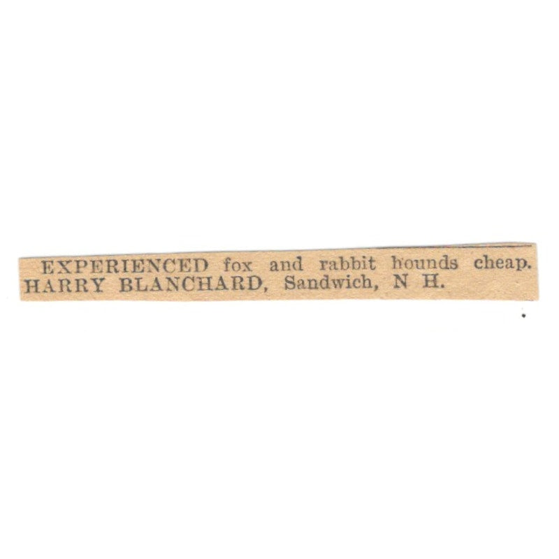 Fox & Rabbit Hounds Harry Blanchard Sandwich NH 1905 Magazine Ad AF1-NES4