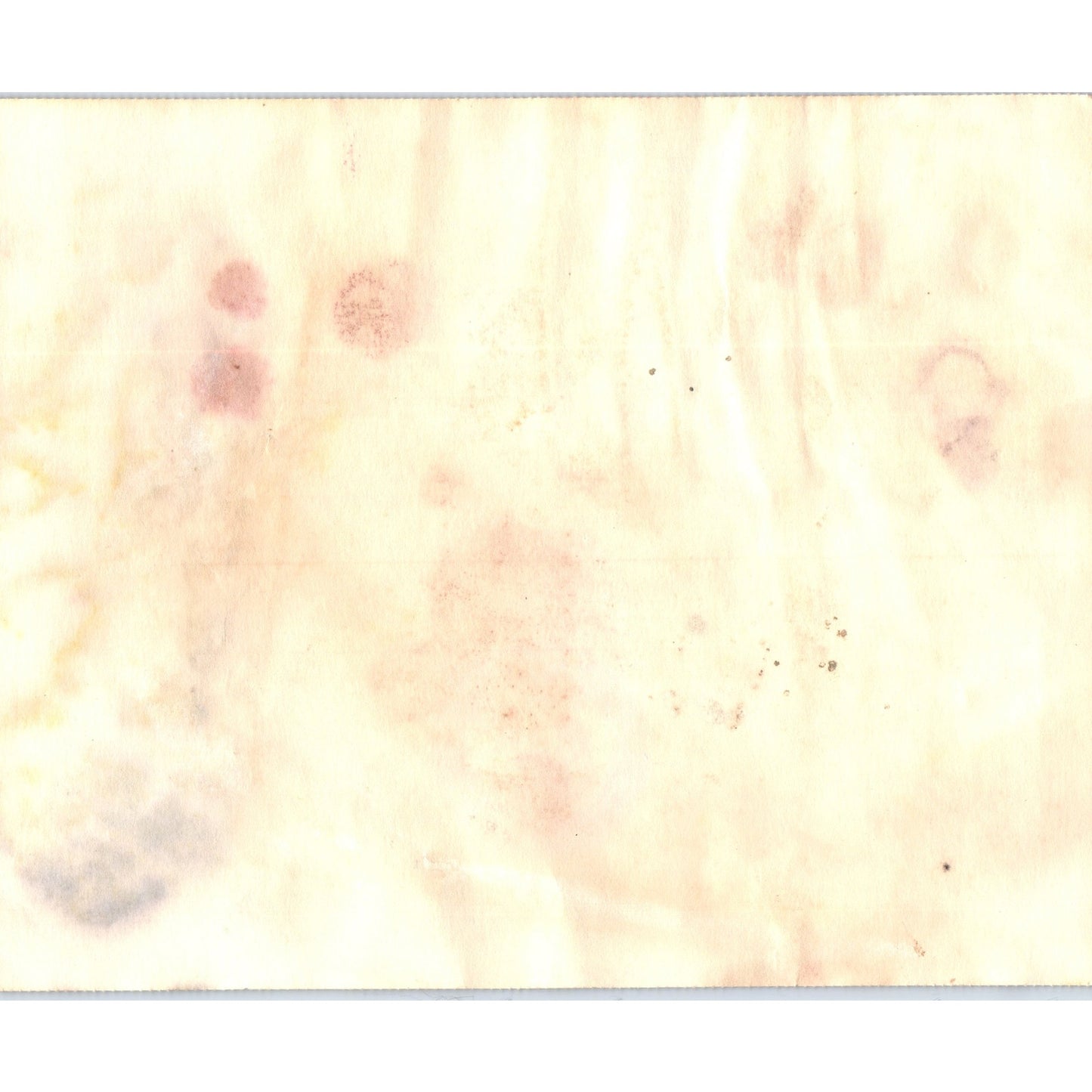 1981 USNR Navy Honorable Discharge Certificate John Robert Lawton D24