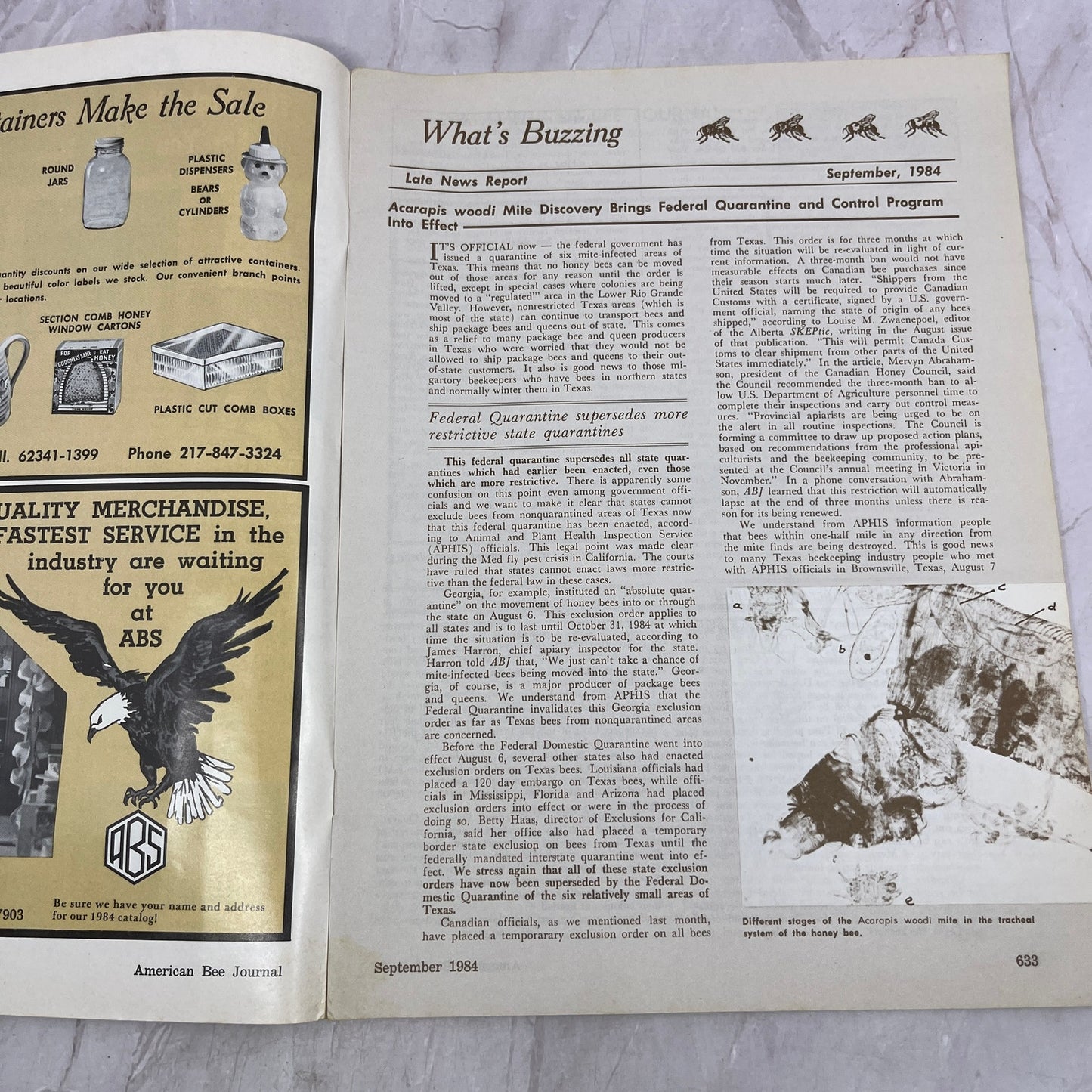 1984 Sep - American Bee Journal - Bees Beekeeping Honey M32