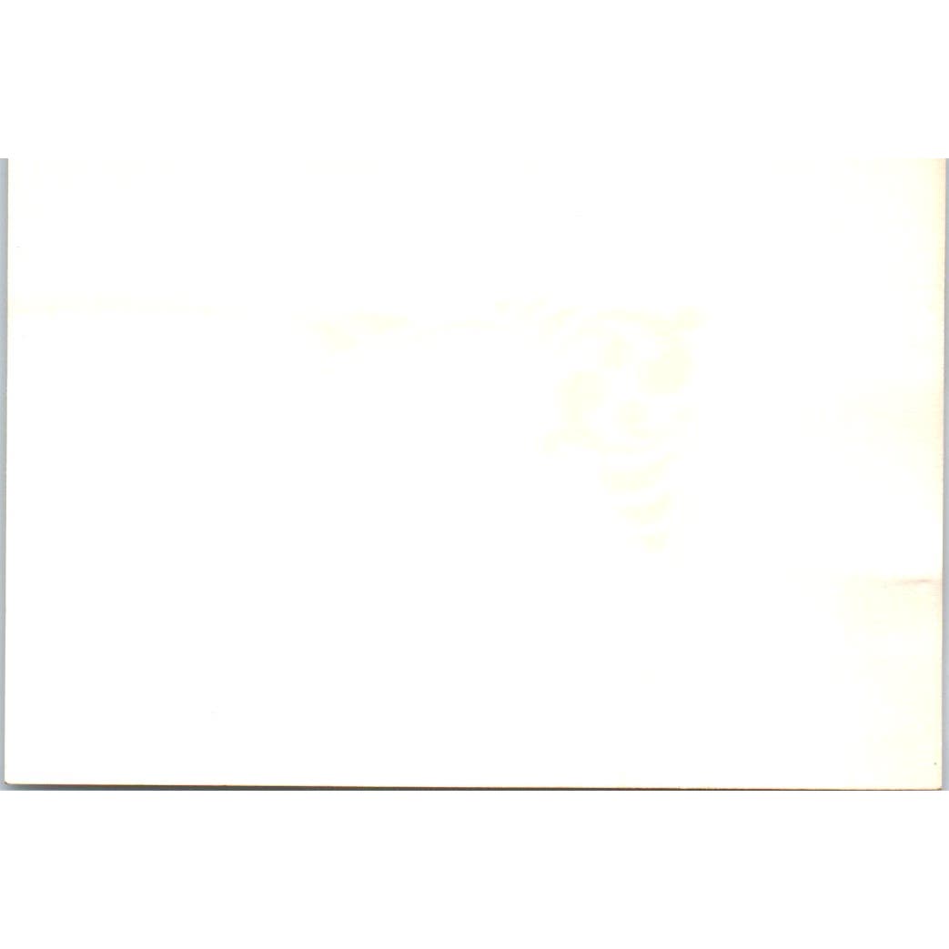 Dr. and Mrs. Horace E. DeWalt Vintage Calling Card AF1
