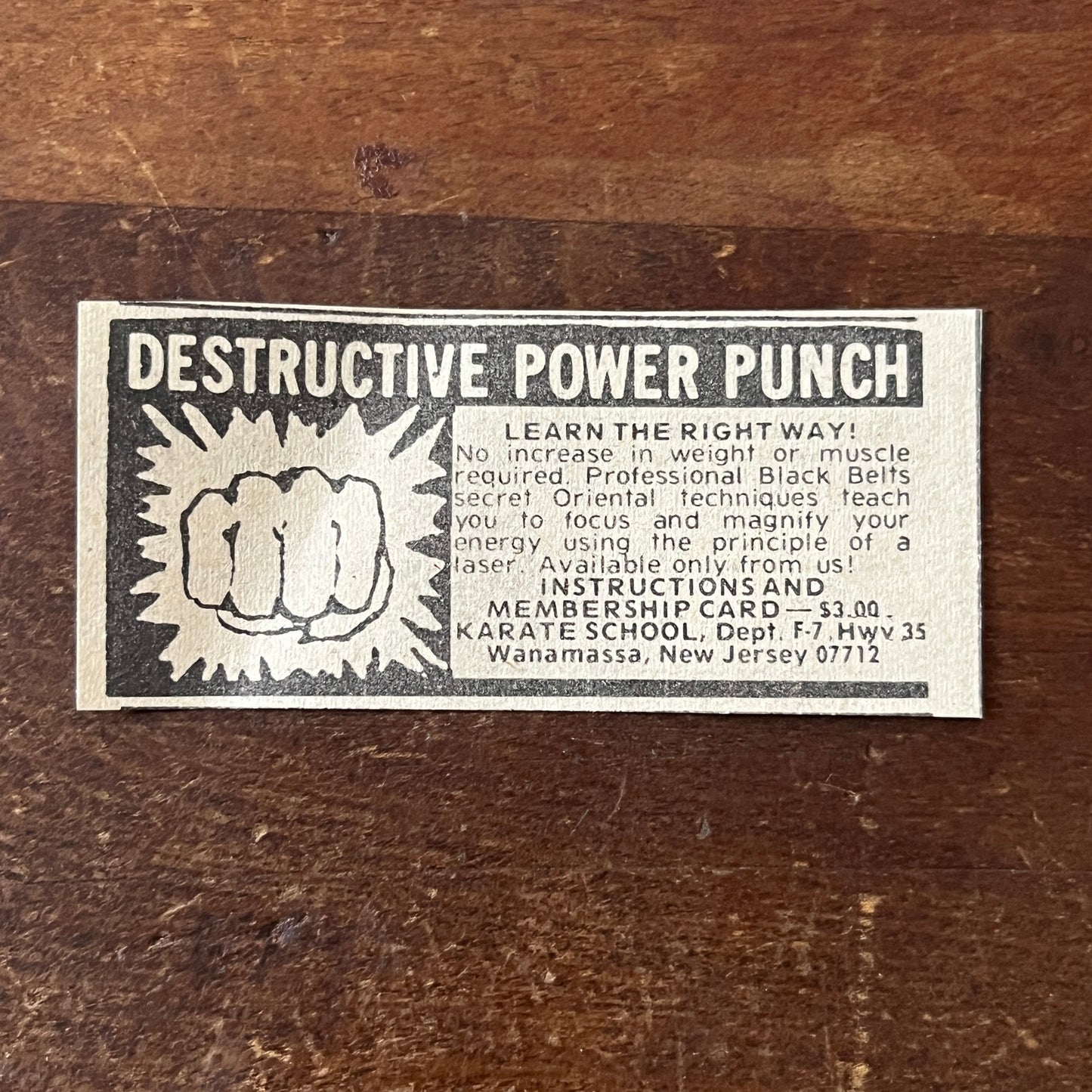 Destructive Power Punch - Karate School, Wanamassa NJ 1974 Ad AG1-S17