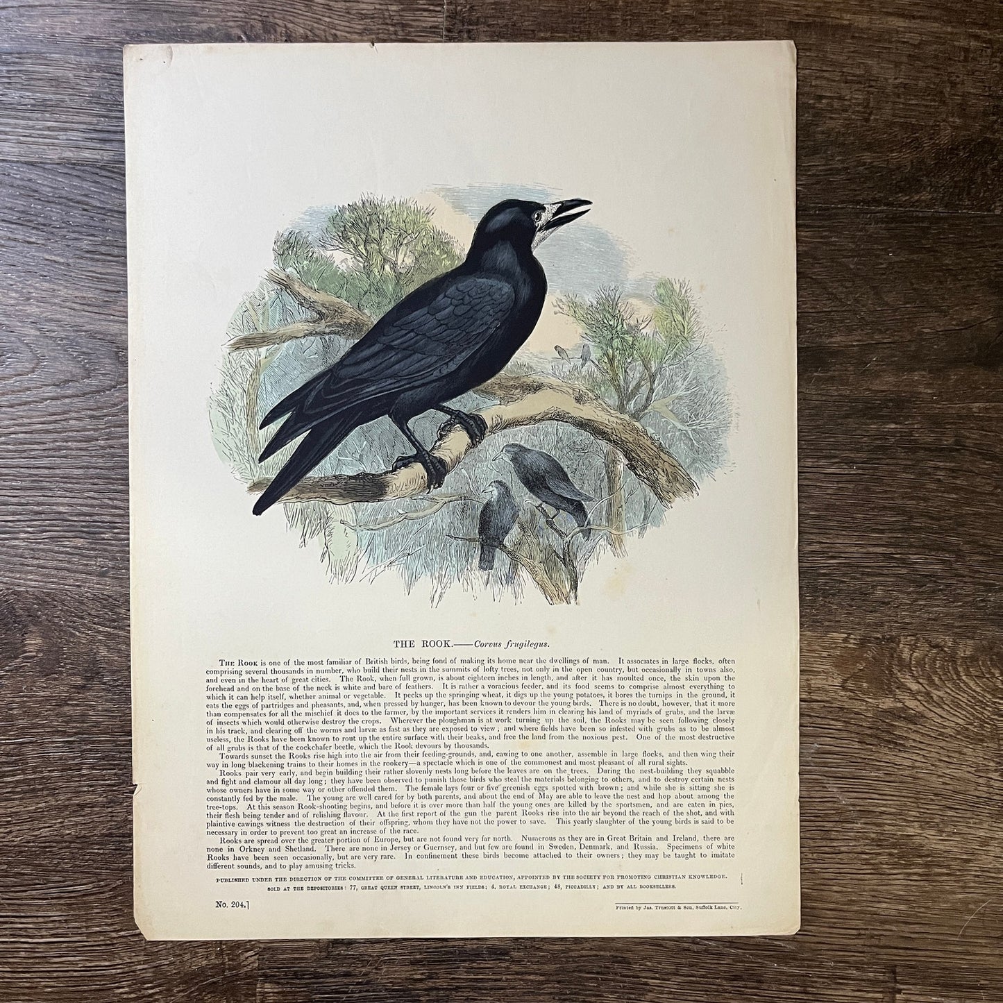 1843 The Rook Tinted Engraving Society Promoting Christian Knowledge 11x15 V3