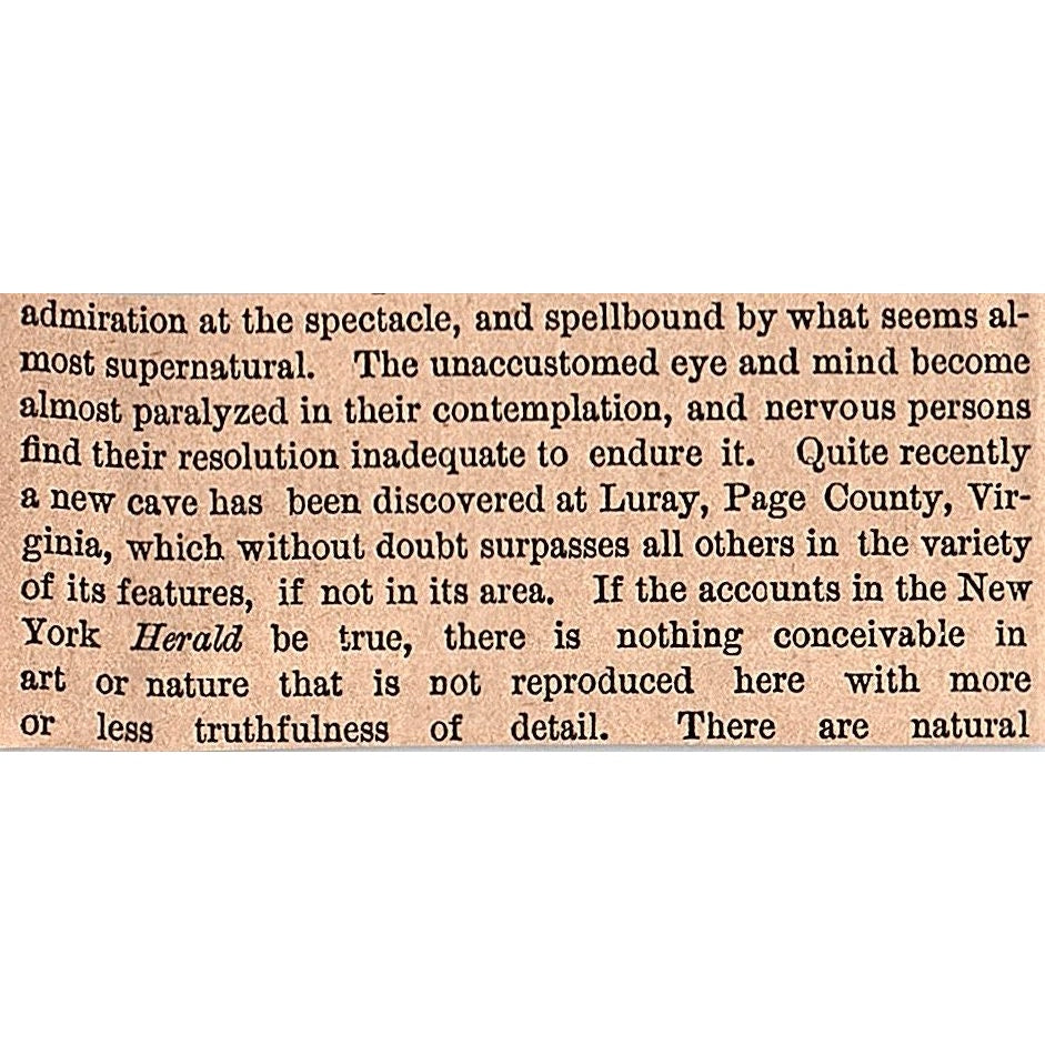 Zettler Rifle Club Photos by Mr F Ulrich of No 166 Bowery 1878 Article AG2-S15
