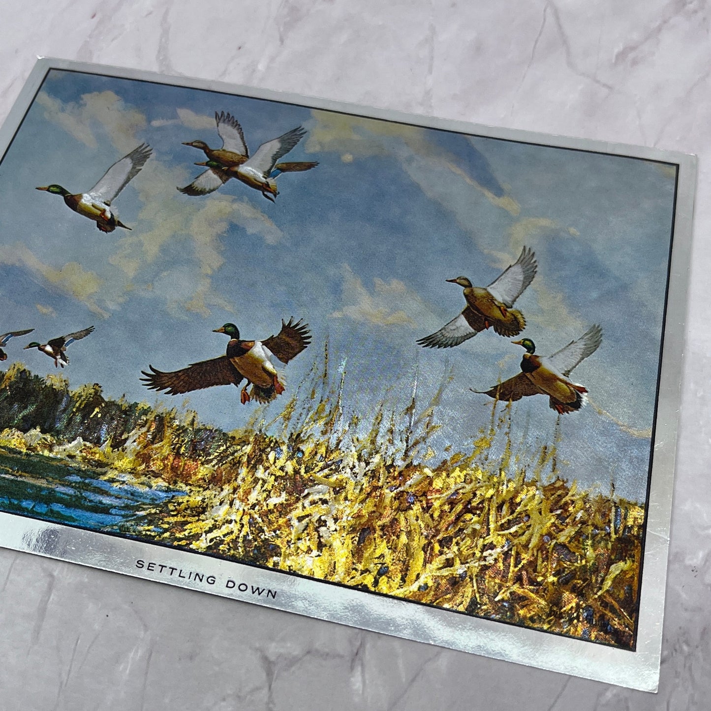 Settling Down Ducks Richard E Bishop Vintage Chromatic Foil Etch 6x7.5" V18