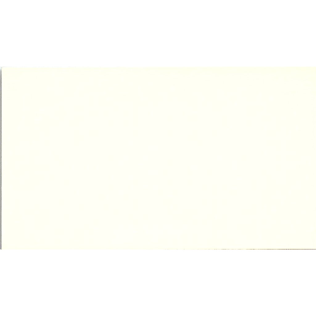 Tropical Plants & Hanging Basket, Tammy Lynn, Houston, TX, Business Card SF3-B8