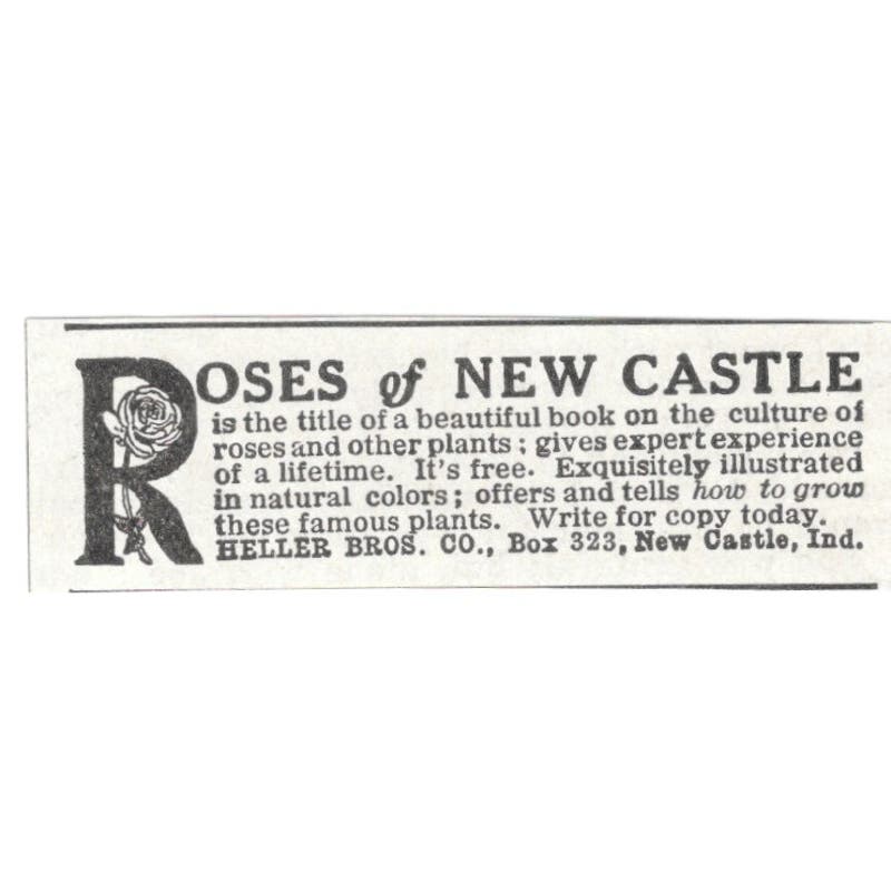 Roses of New Castle Heller Bros Co New Castle IN 1918 Magazine Ad AF1-SS3
