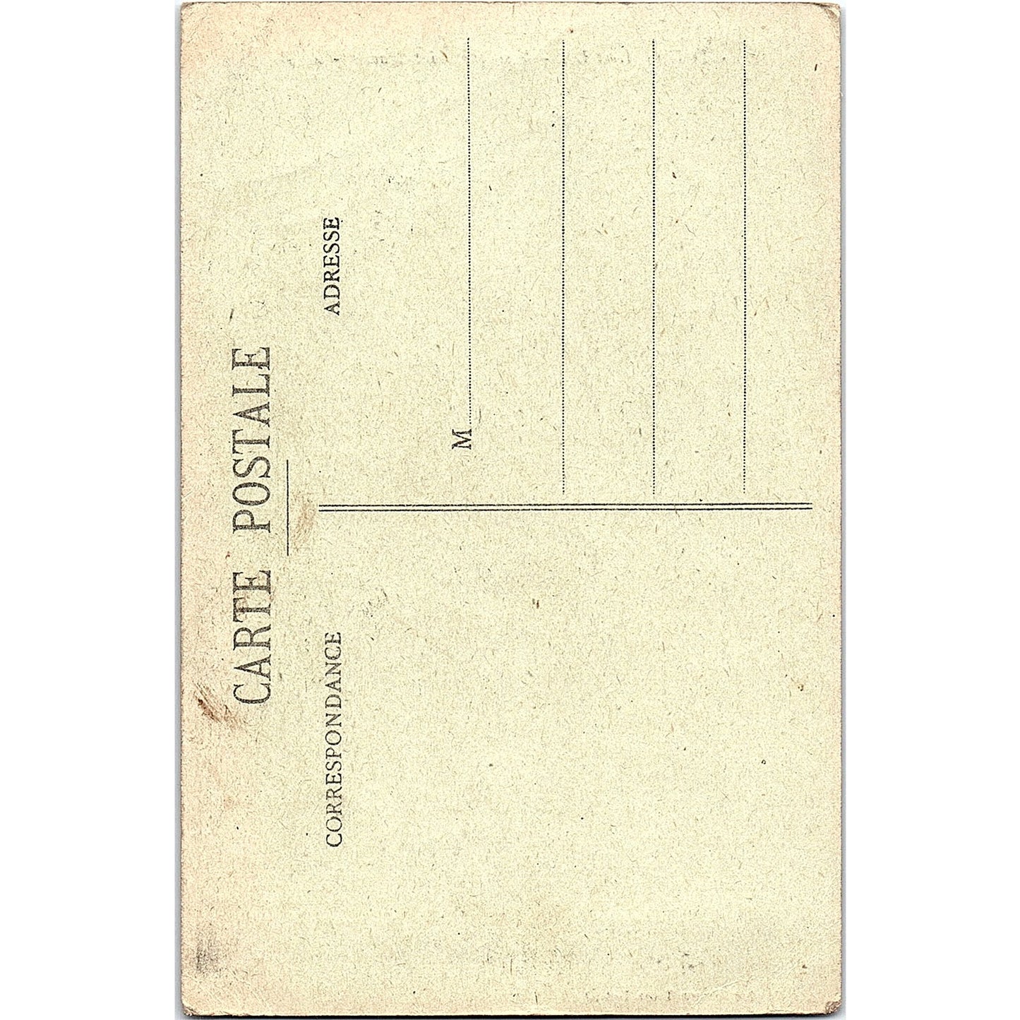 Basilique Saint Martin French Antique Postcard PE16