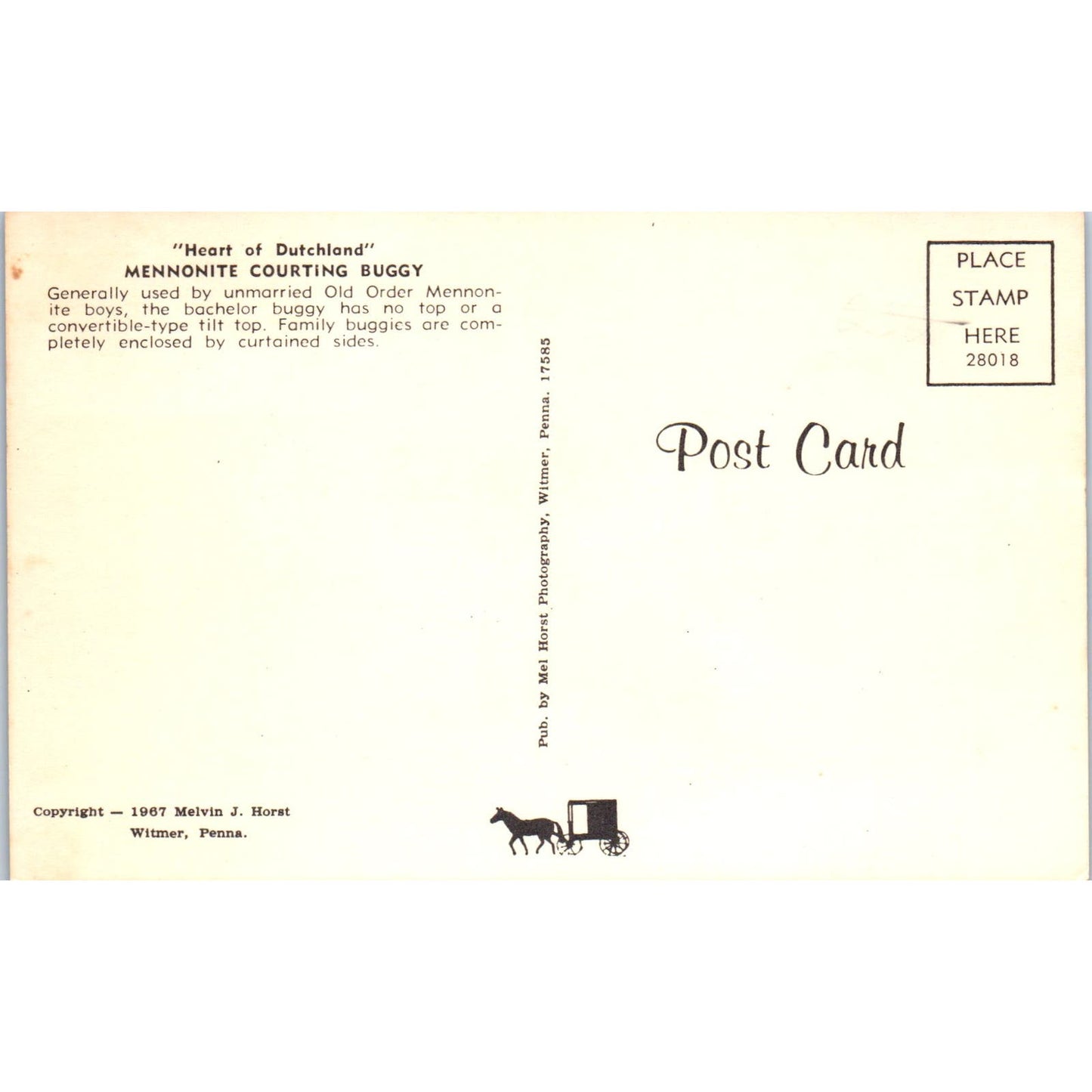 Old Order of Mennonite Courting Buggy Pennsylvania Dutch Country Postcard PD8