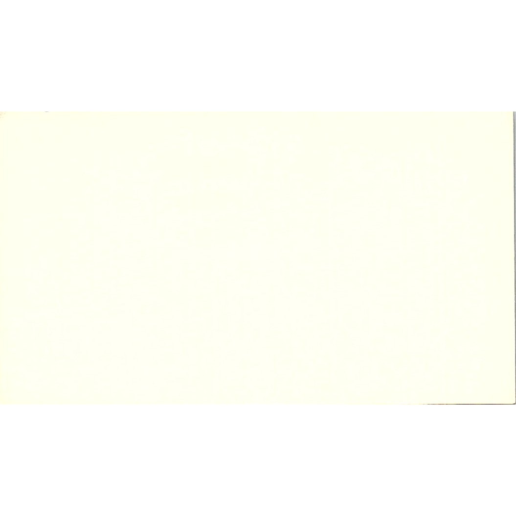 Fishing Guide Service Buster McKinney Onalaska TX Vintage Business Card SB4-B10