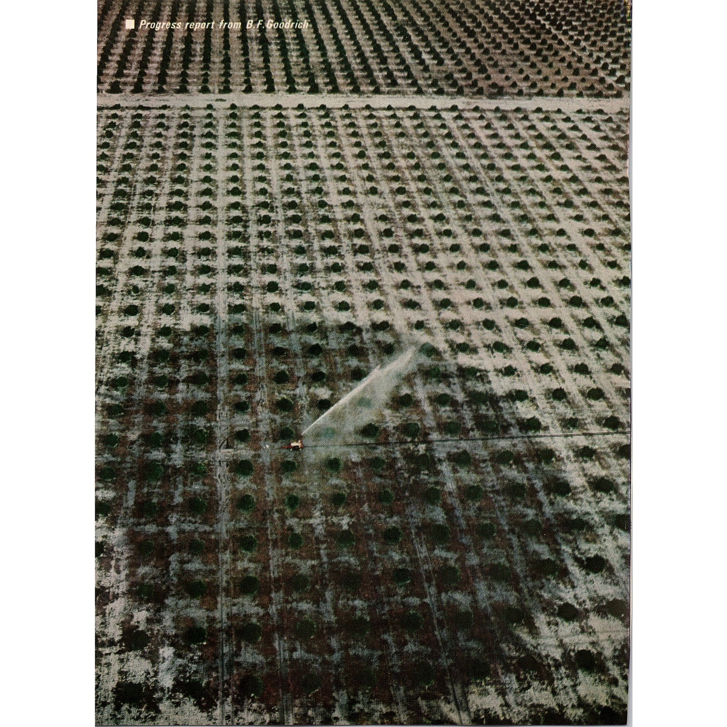 1967 Chevrolet Camaro SS Sport Coupe With Rally Sport Equipment 1967 Ad AG1-15