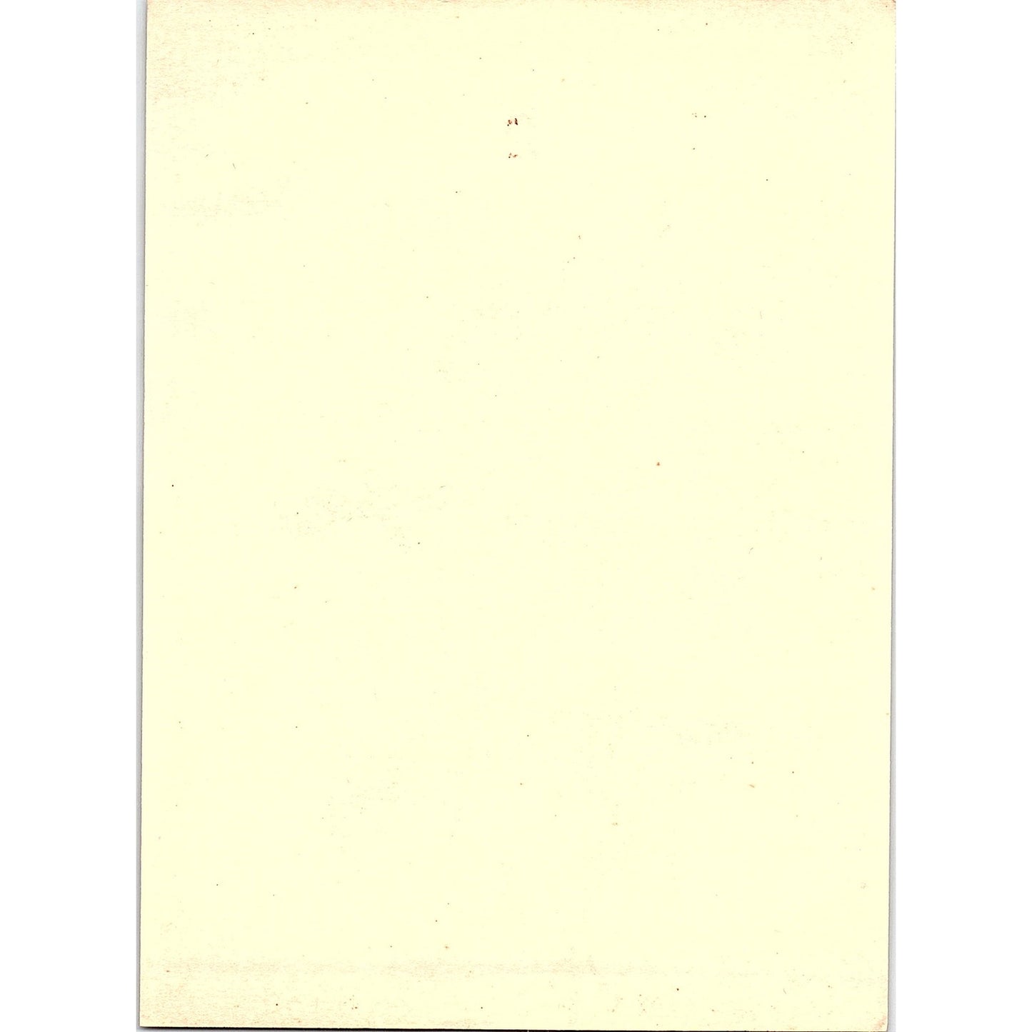 Retro Kitsch Floral Daisy Tulip Peony Carle Vintage Art Print 5x7 V19