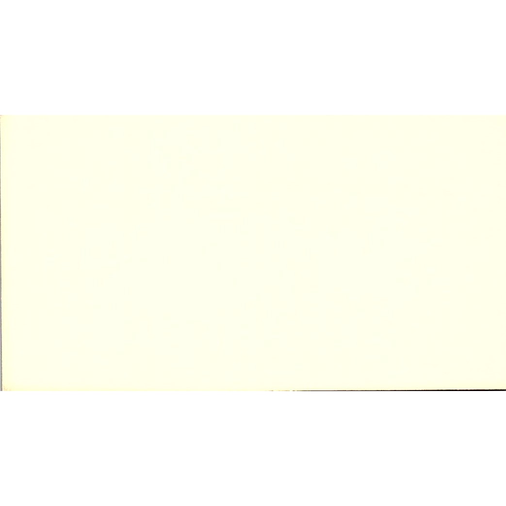 Econ-O-Girls Wanda McCall International Corpus Christi TX Business Card SF3-B7