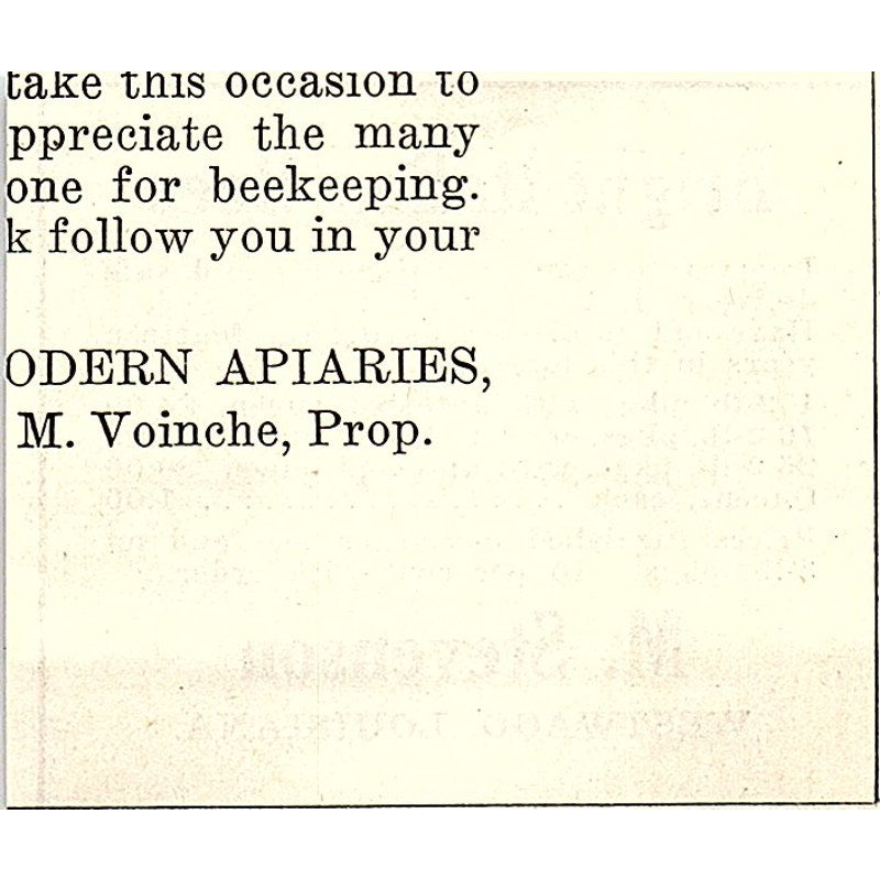 M. Stevenson Bright Italian Bees Westwego Louisiana 1926 Ad AG3-S23