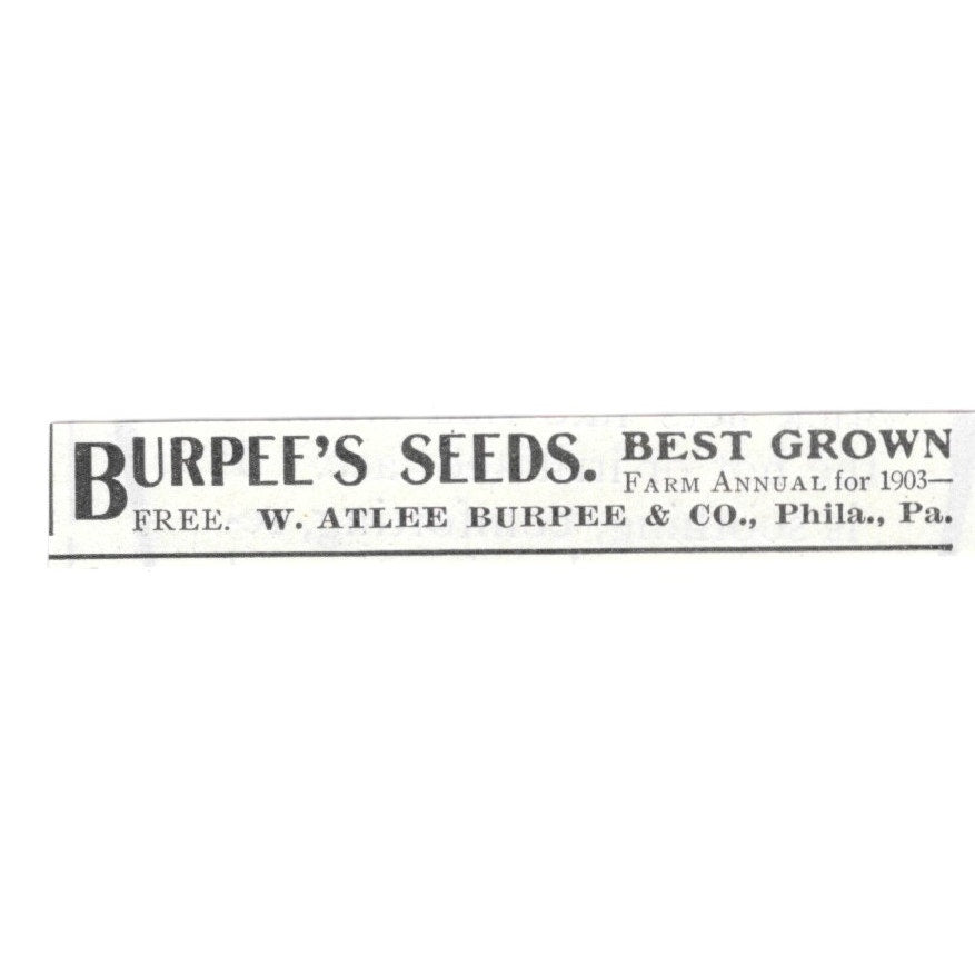 Burpee's Seeds W. Atlee Burpee & Co Philadelphia PA 1903 Ad AF8-S31